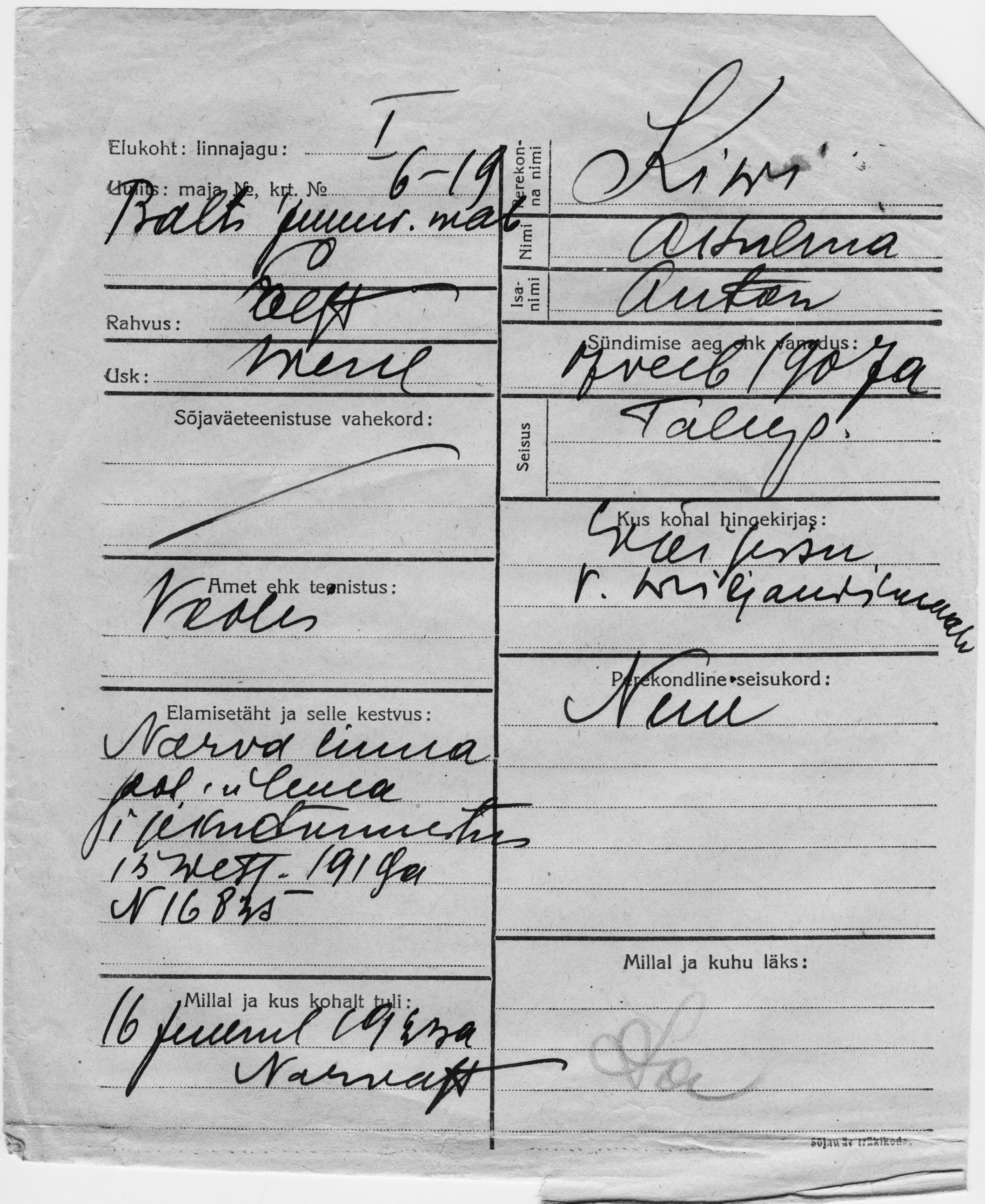 Kivi, Akulina, Anton