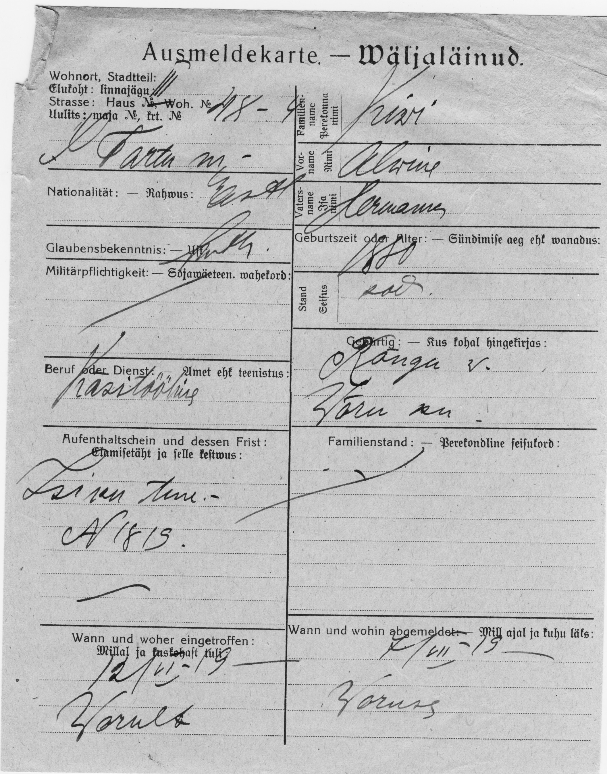 Kivi, Alvine, Hermann