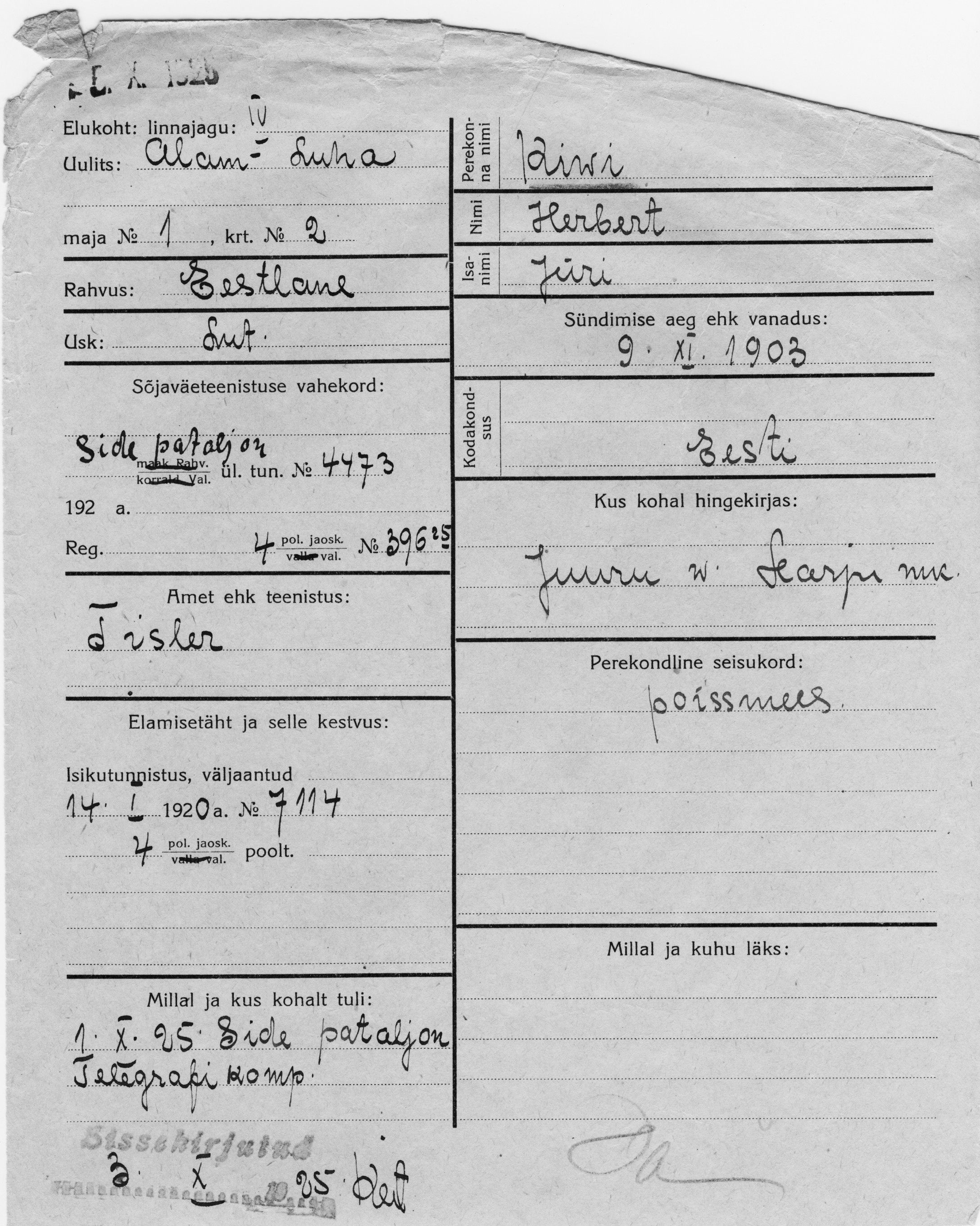 Kivi, Herbert, Jüri