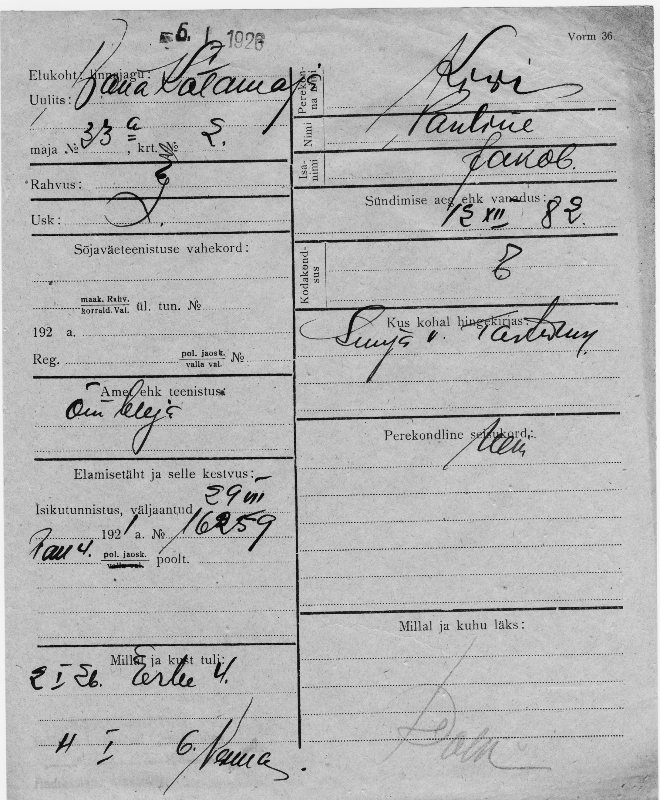 Kivi, Pauline, Jakob