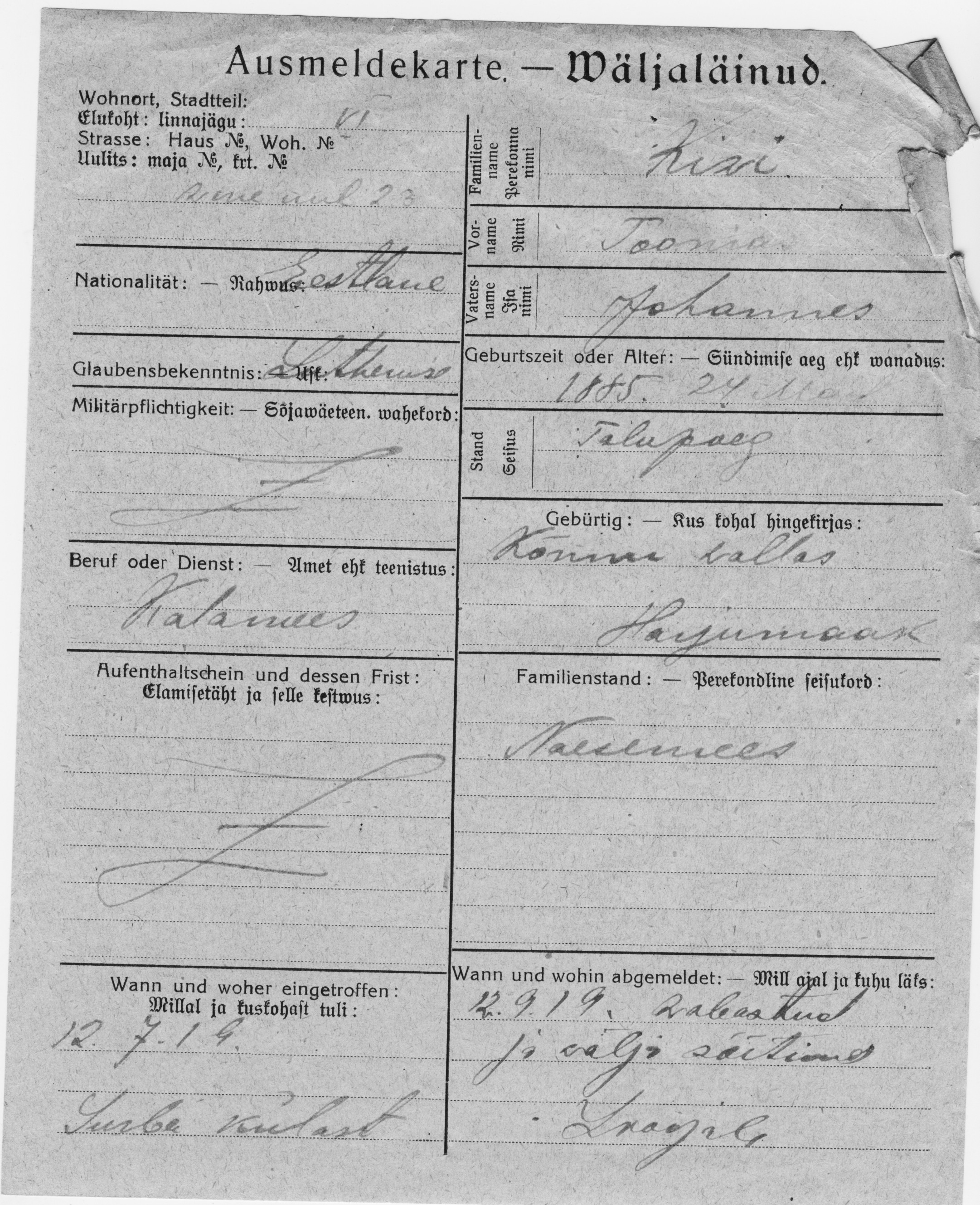 Kivi, Toomas, Johannes