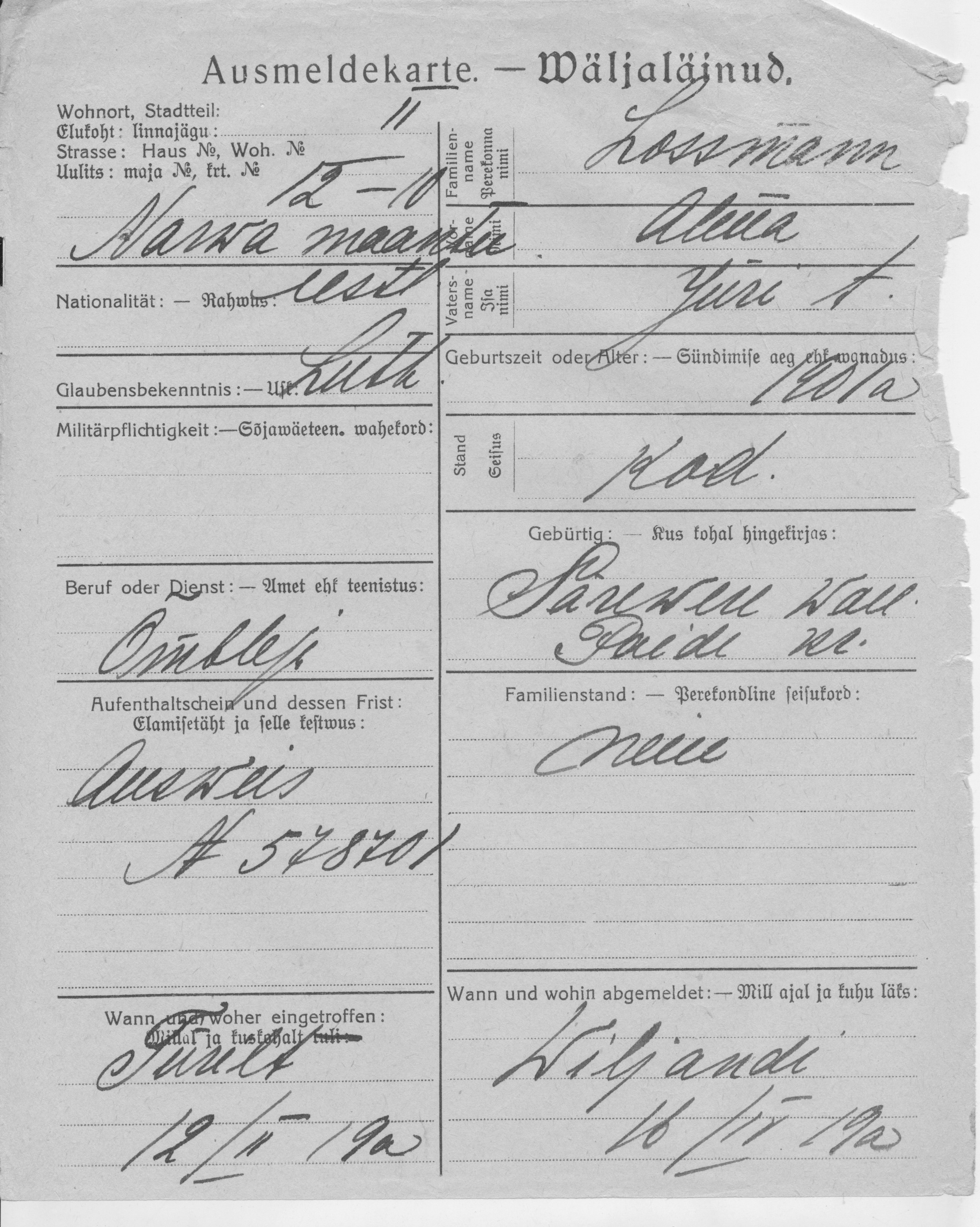 Lossmann, Alma, Jüri