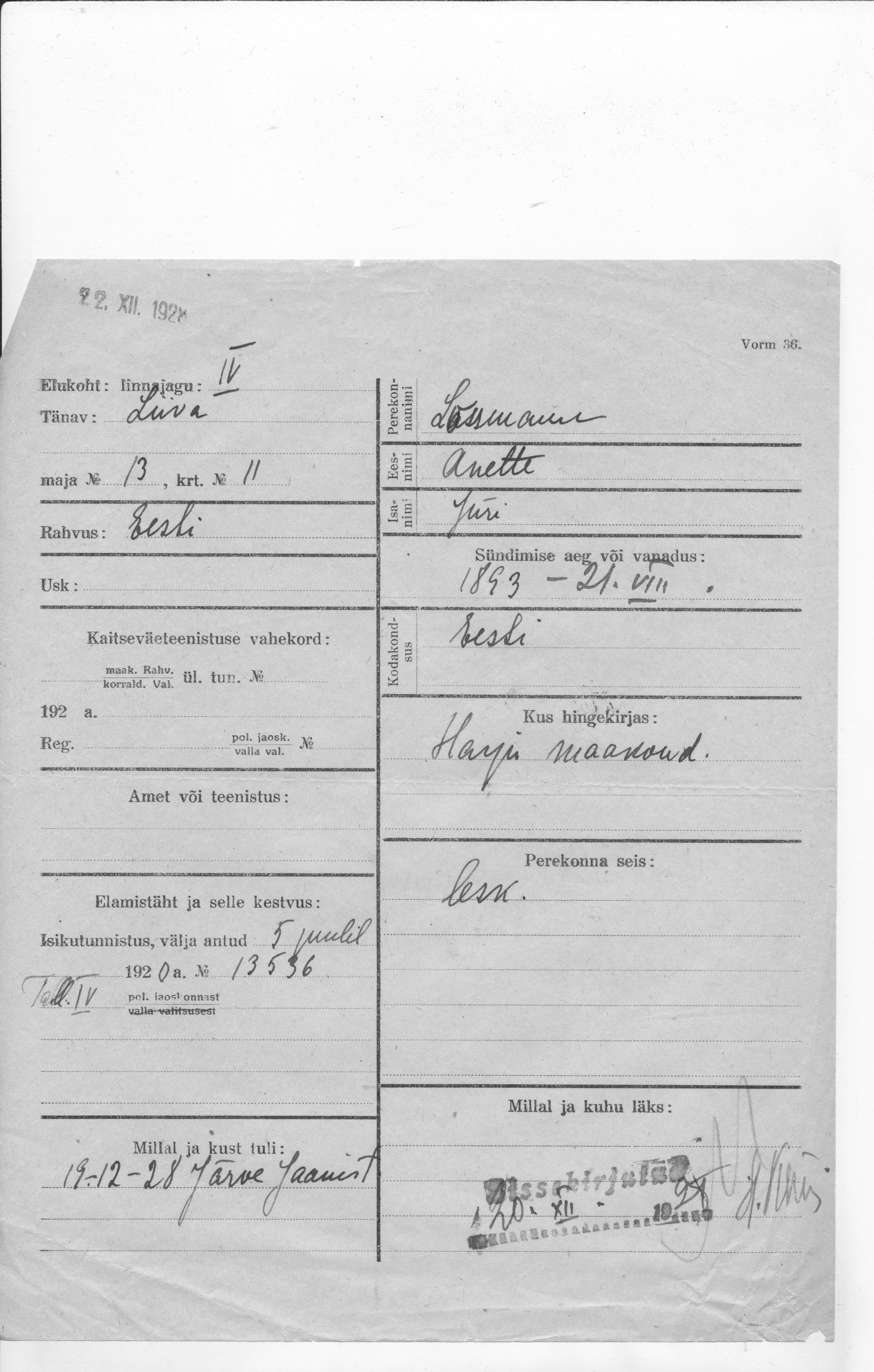 Lossmann, Anette, Jüri