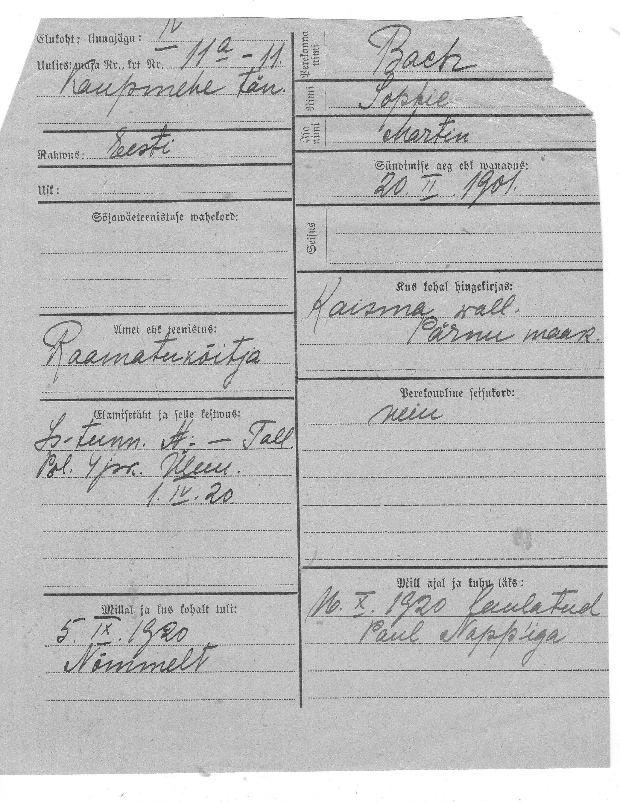 Bach, Sopfie, Martin