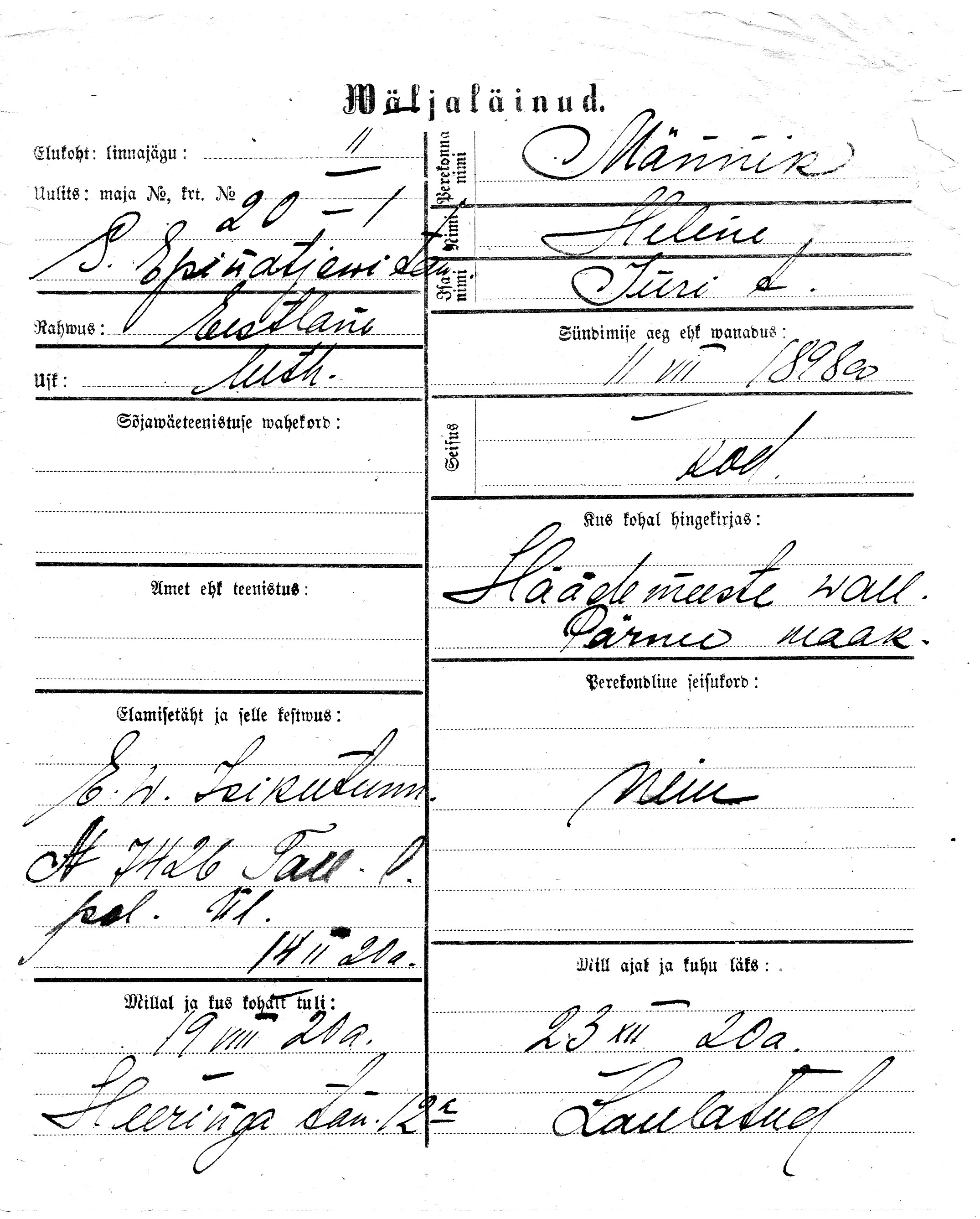 Männik, Helene, Jüri