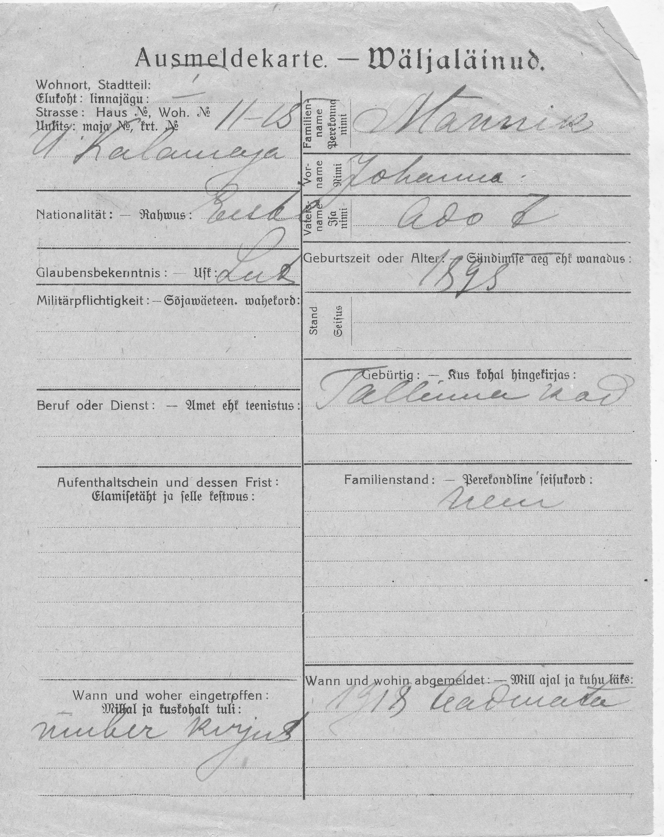 Männik, Johanna, Ado