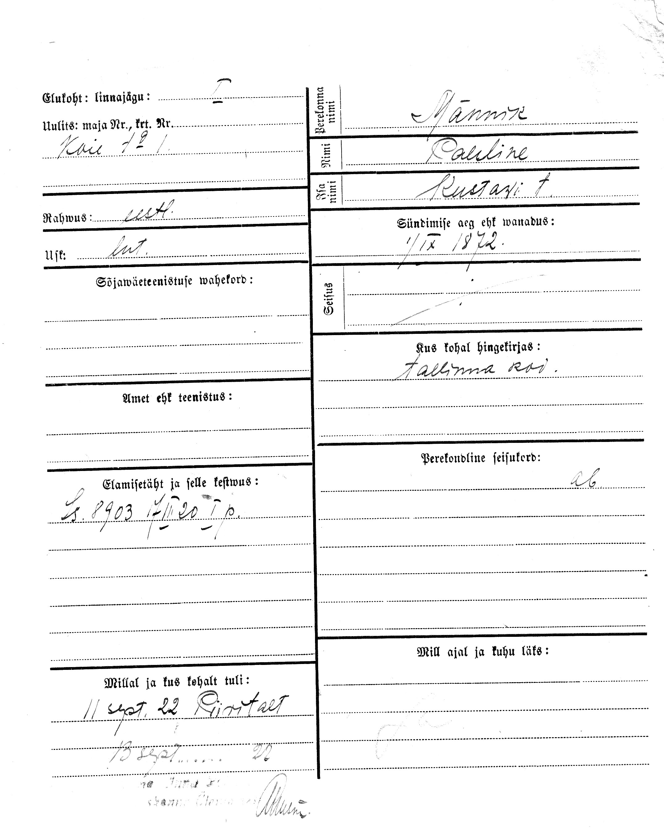 Männik, Pauline, Kustaw