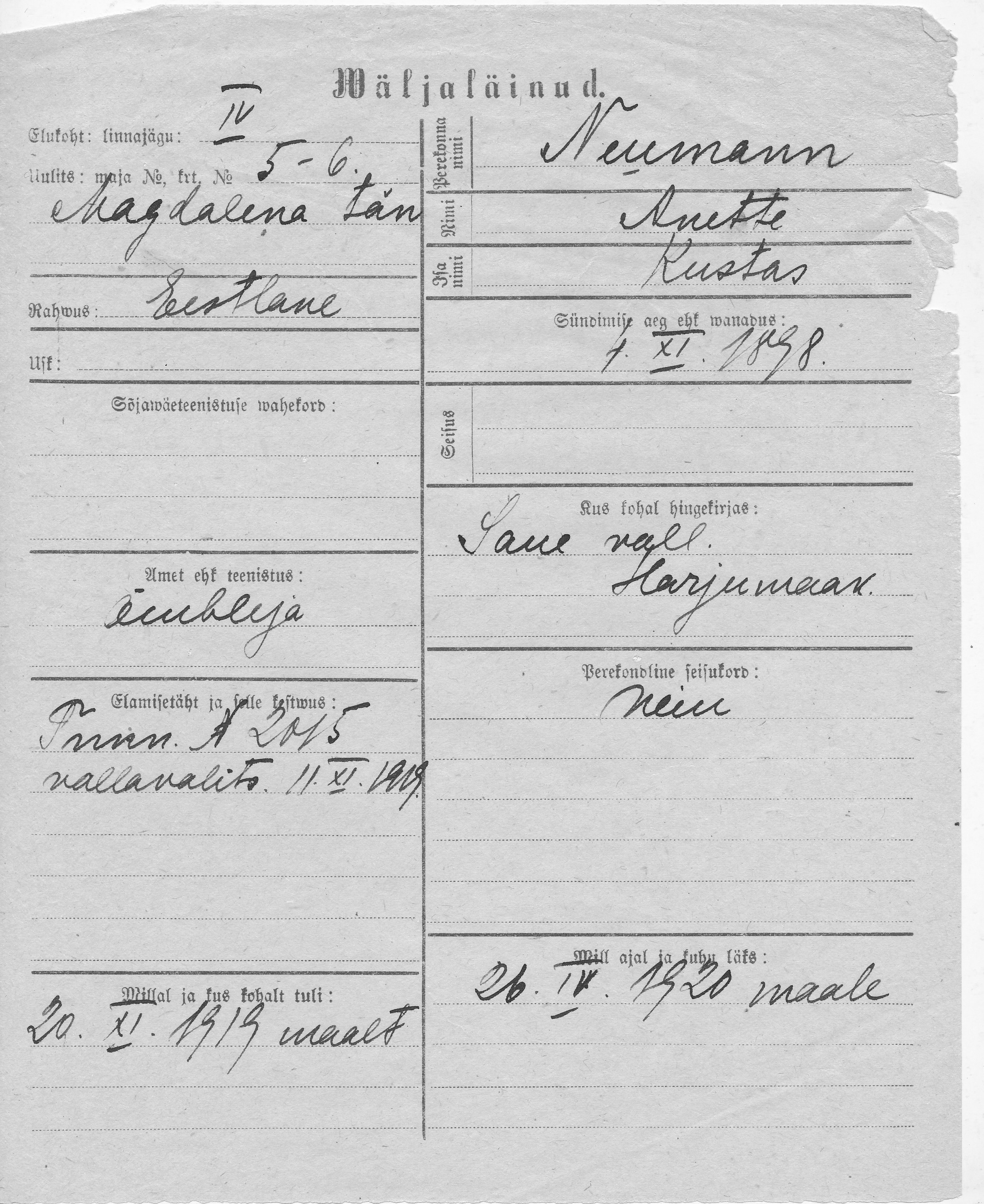 Neumann, Anette, Kustas