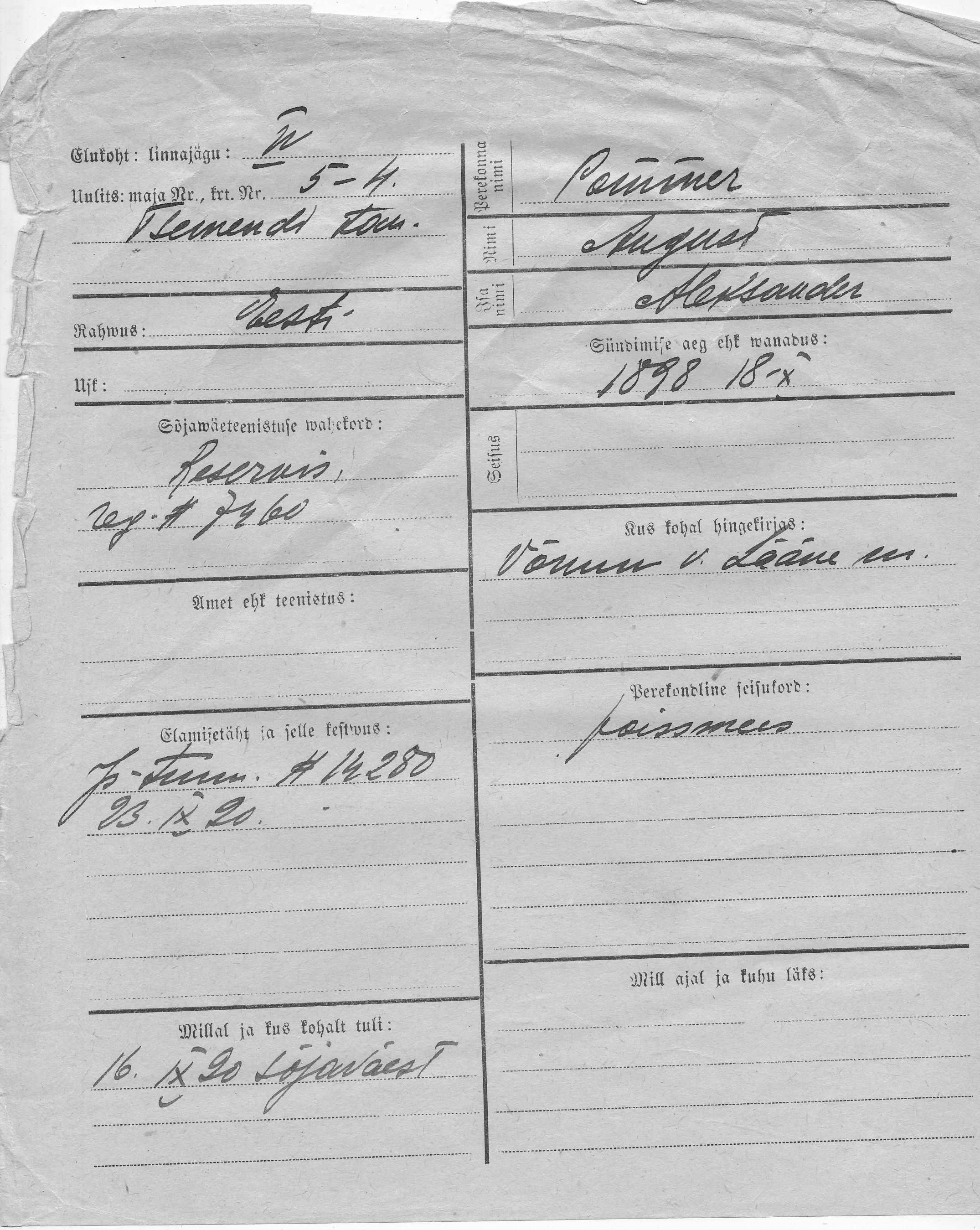 Pommer, August, Aleksander