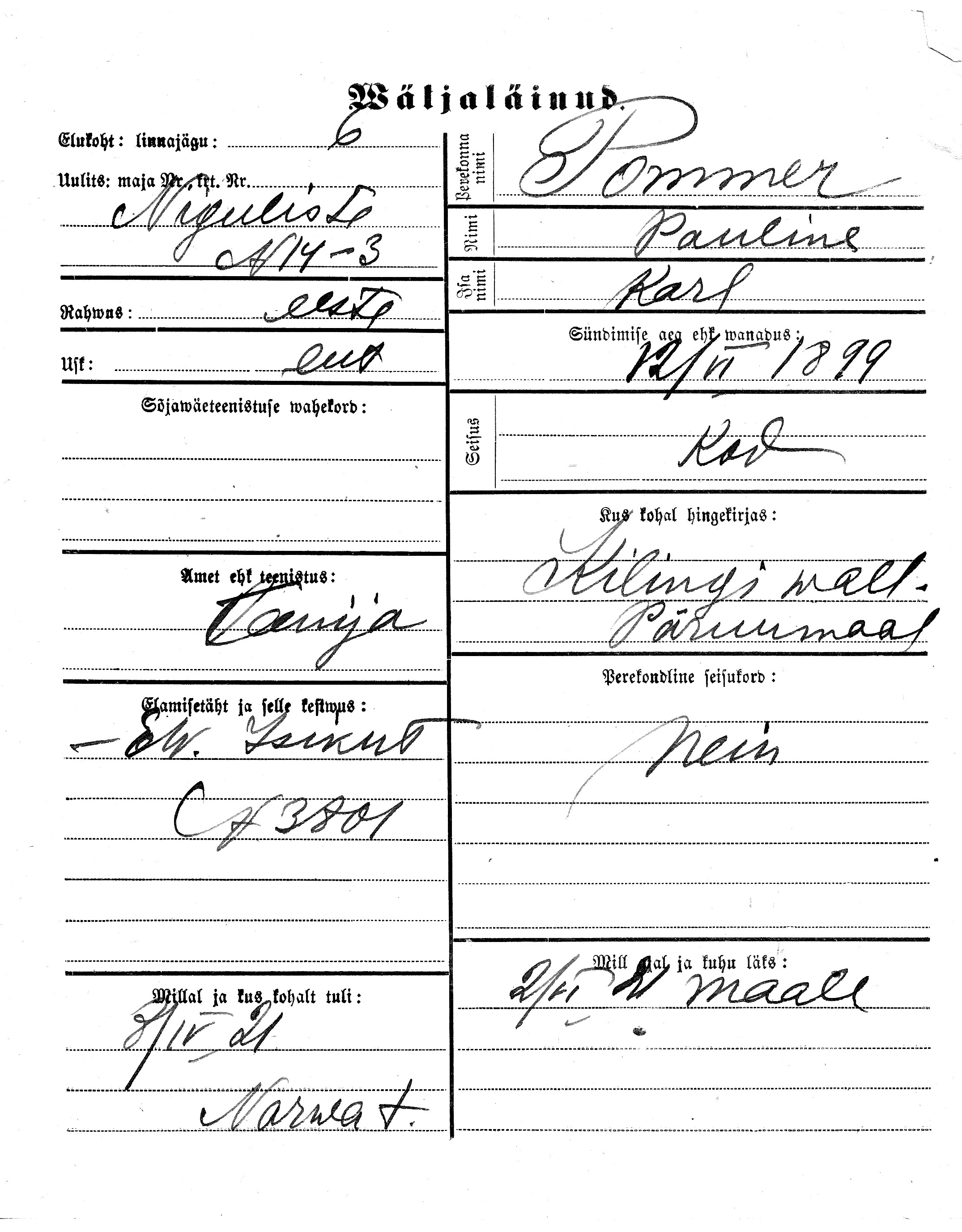 Pommer, Pauline, Karl