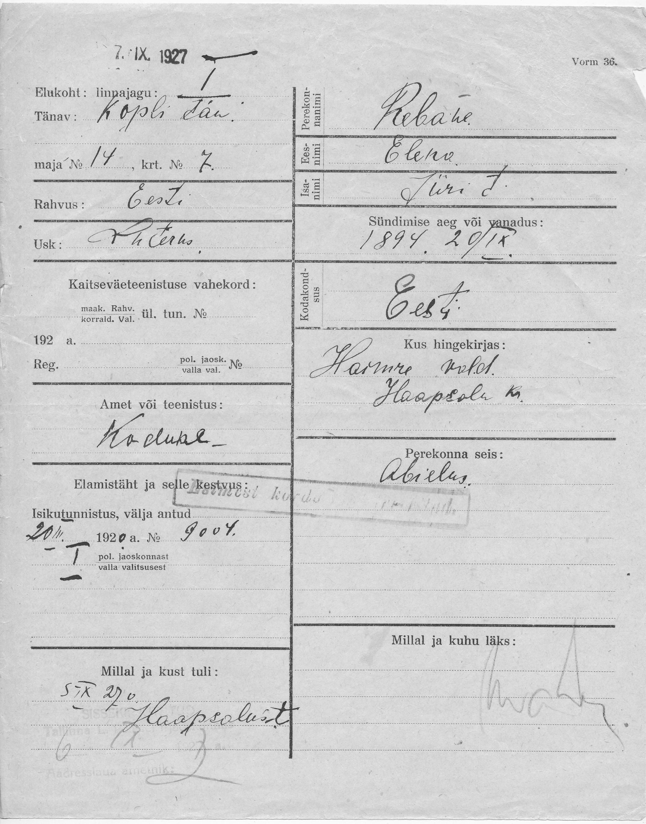 Rebane, Elena, Jüri