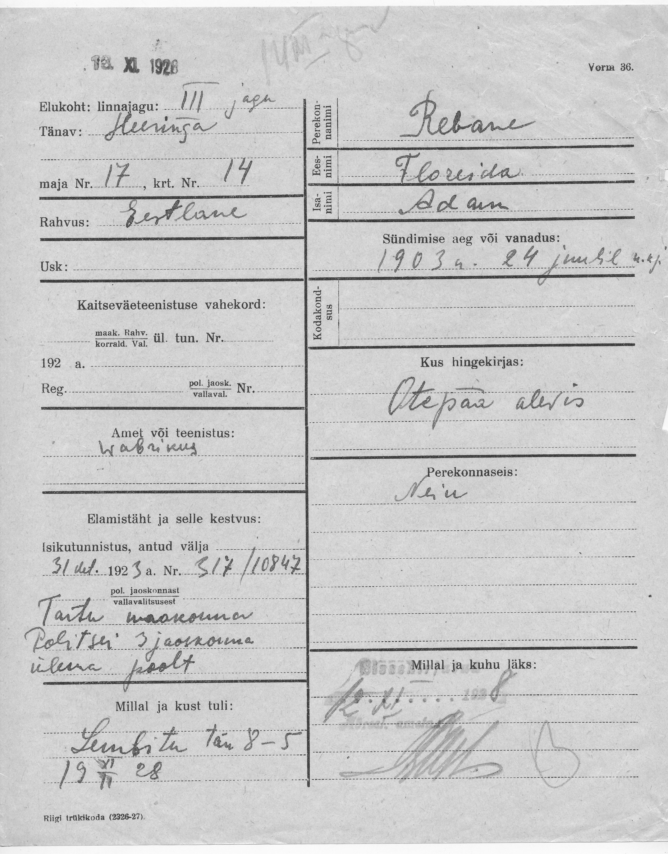 Rebane, Floreida, Adam