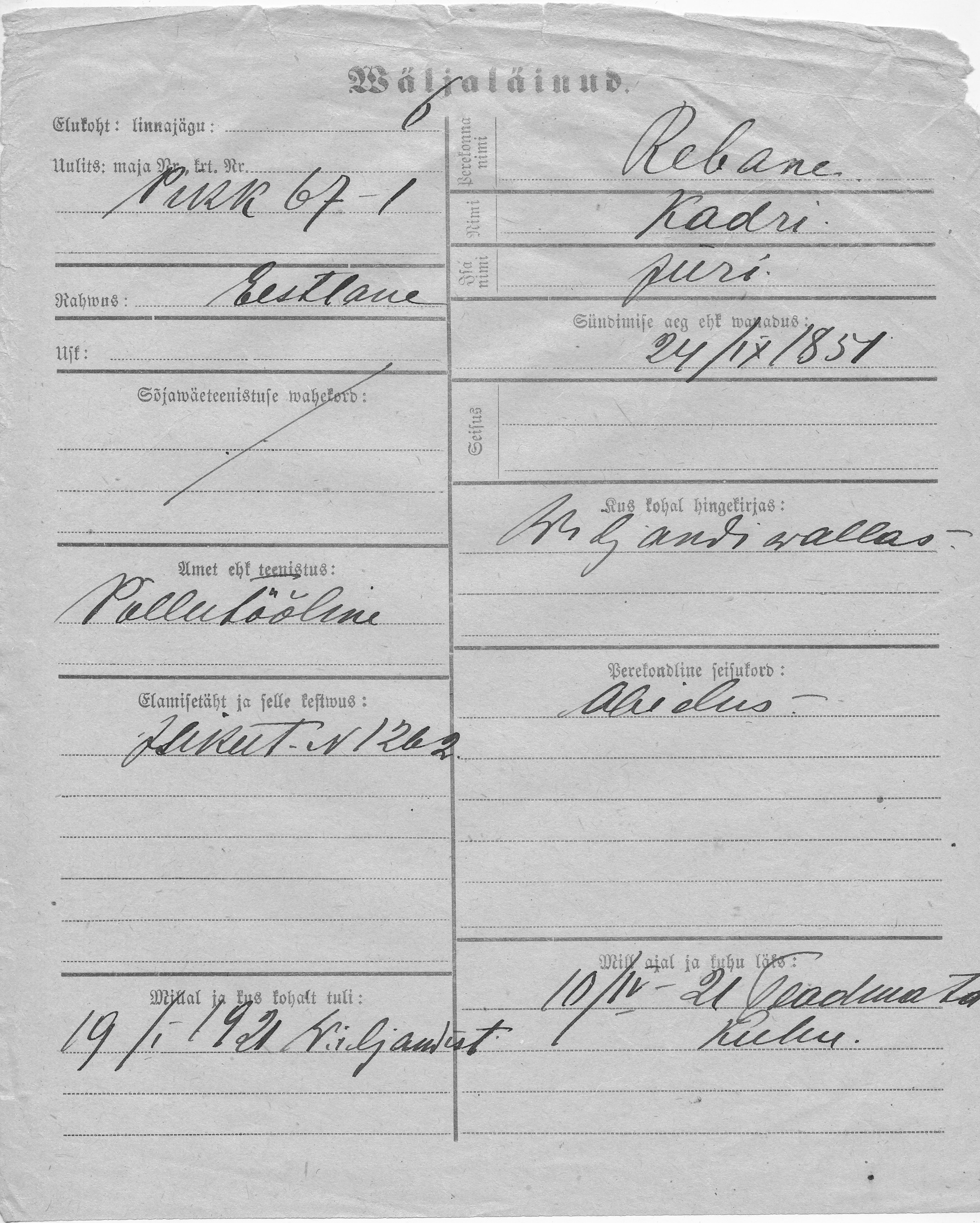 Rebane, Kadri, Jüri