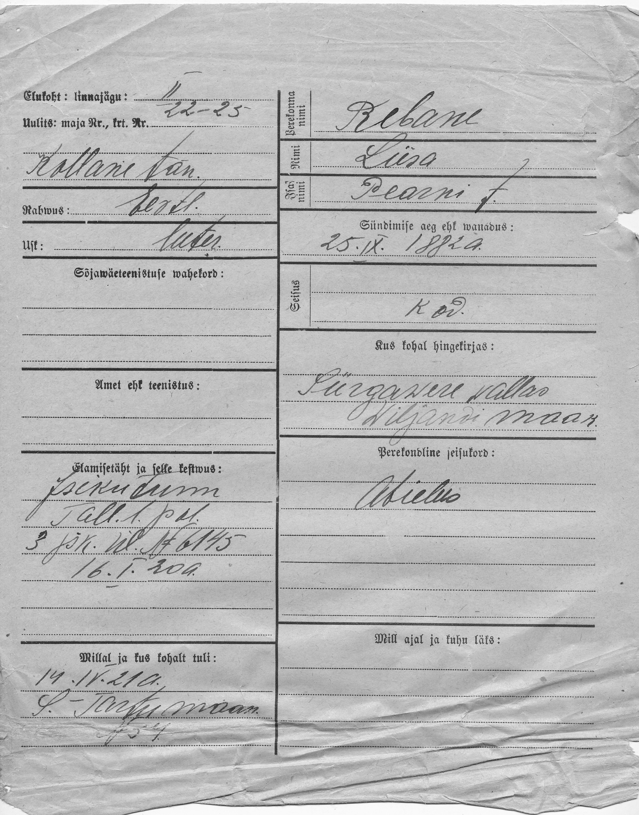 Rebane, Liisa, Pearn