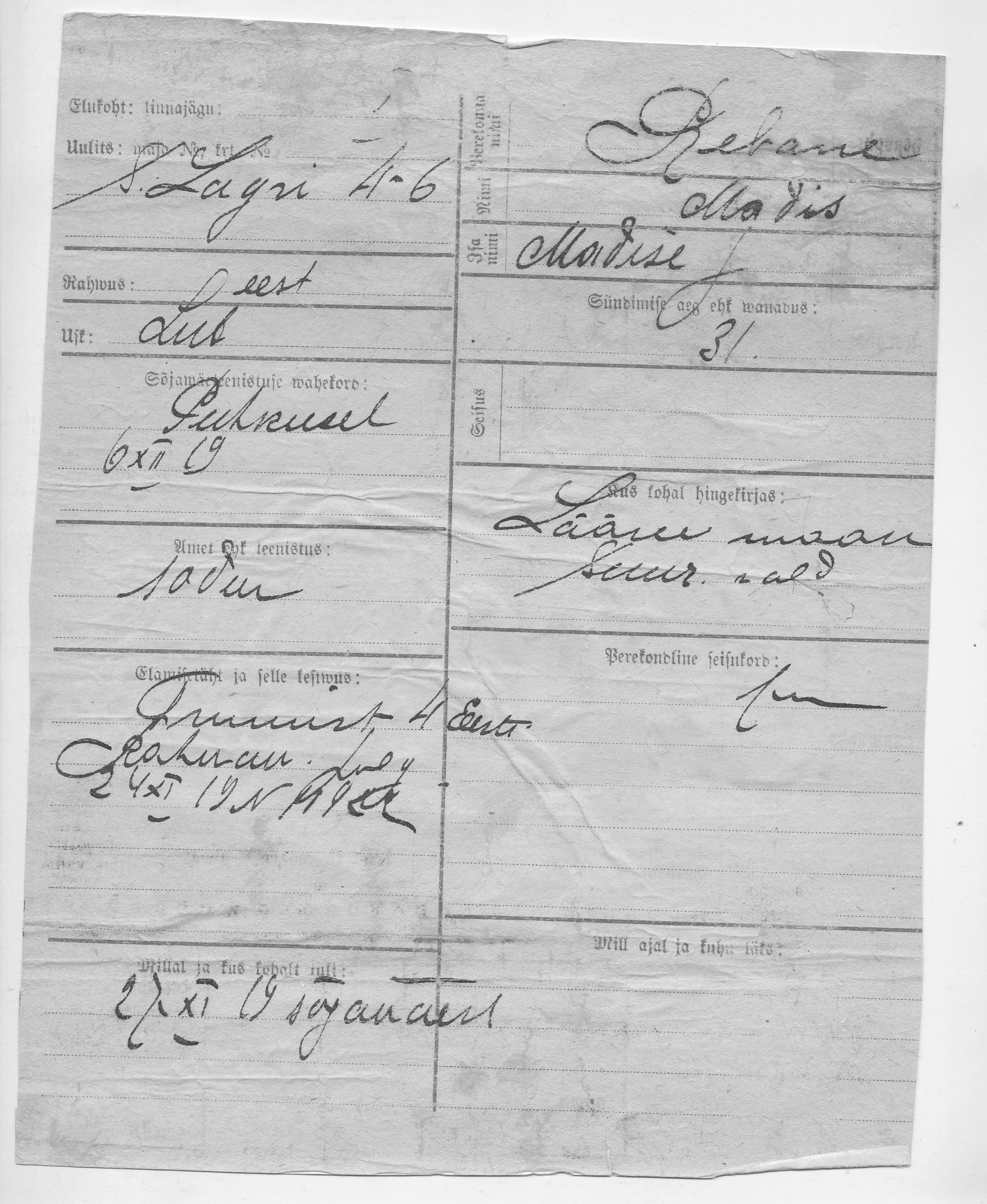 Rebane, Madis, Madis