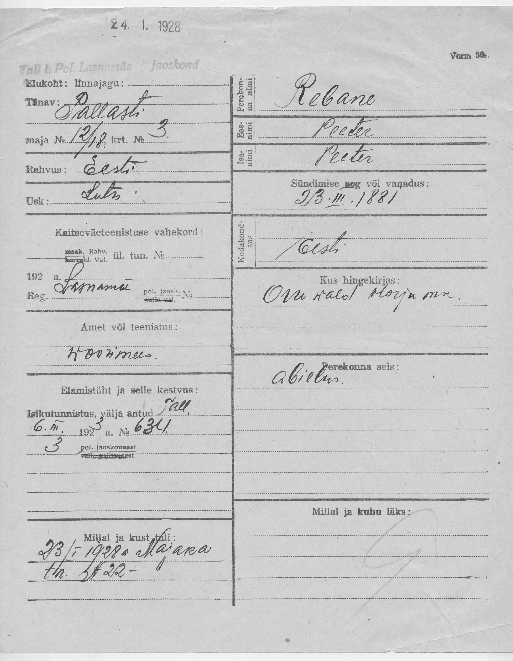 Rebane, Peeter, Peeter