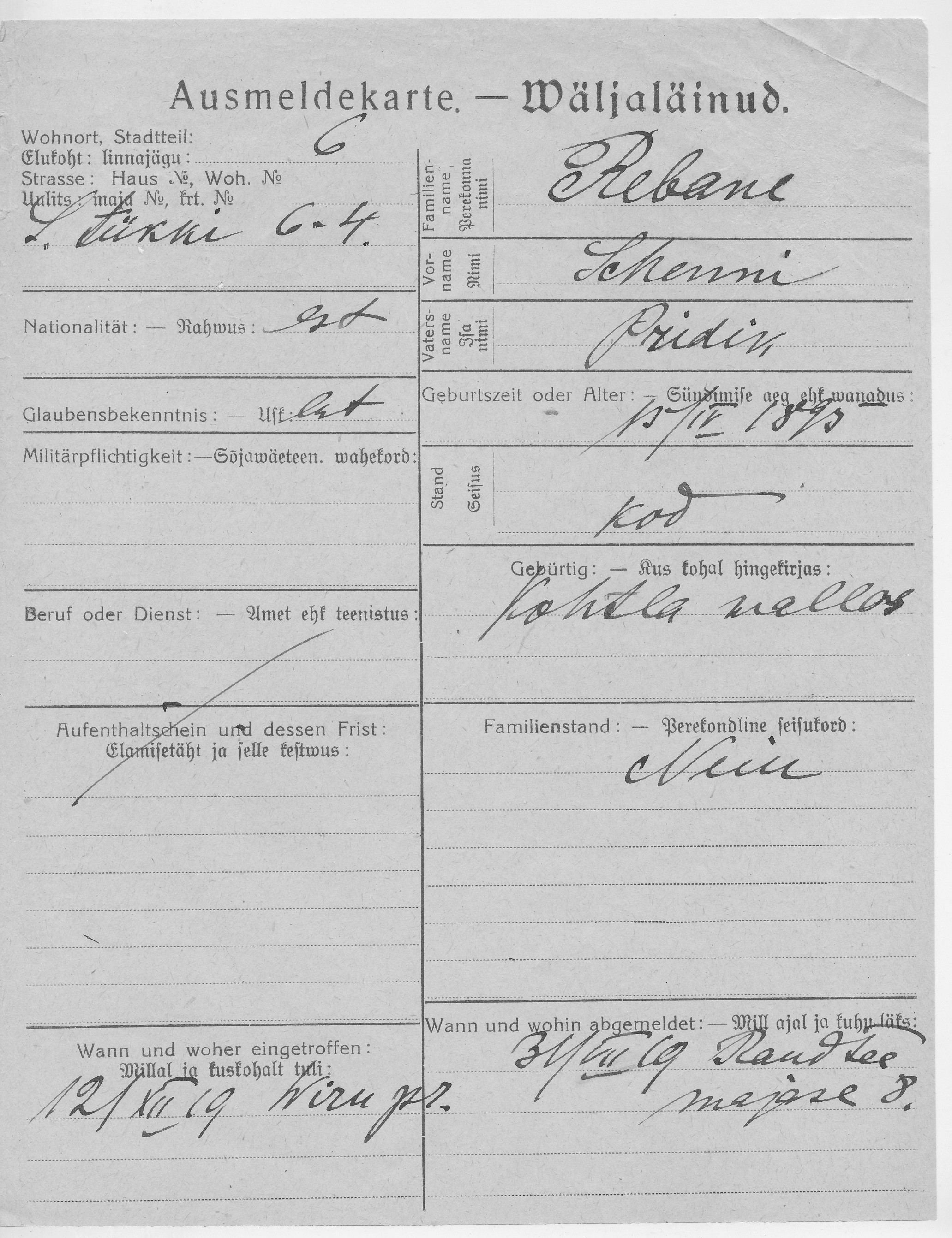 Rebane, Schenni, Pridik