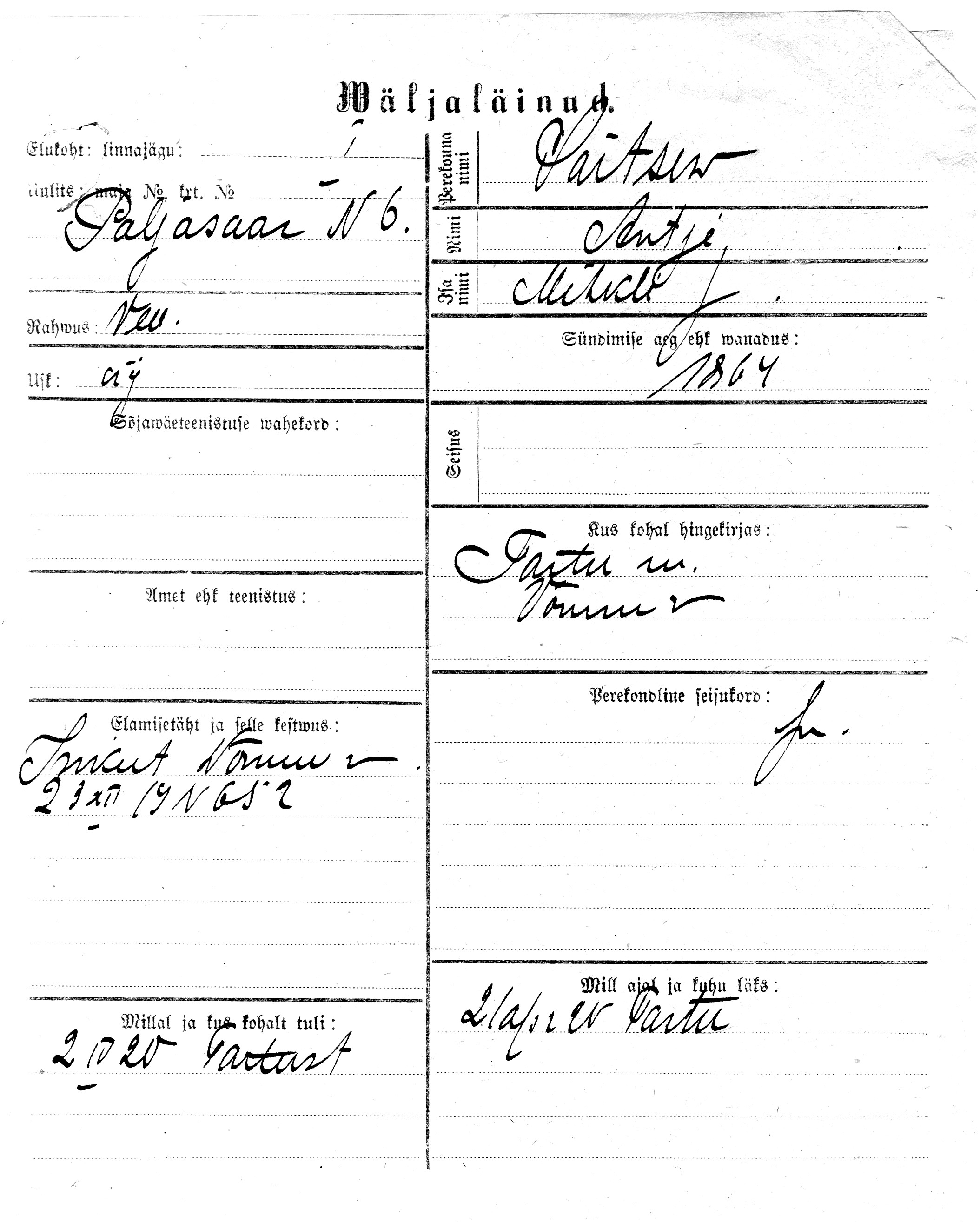 Saitsev, Antje, Mihkel