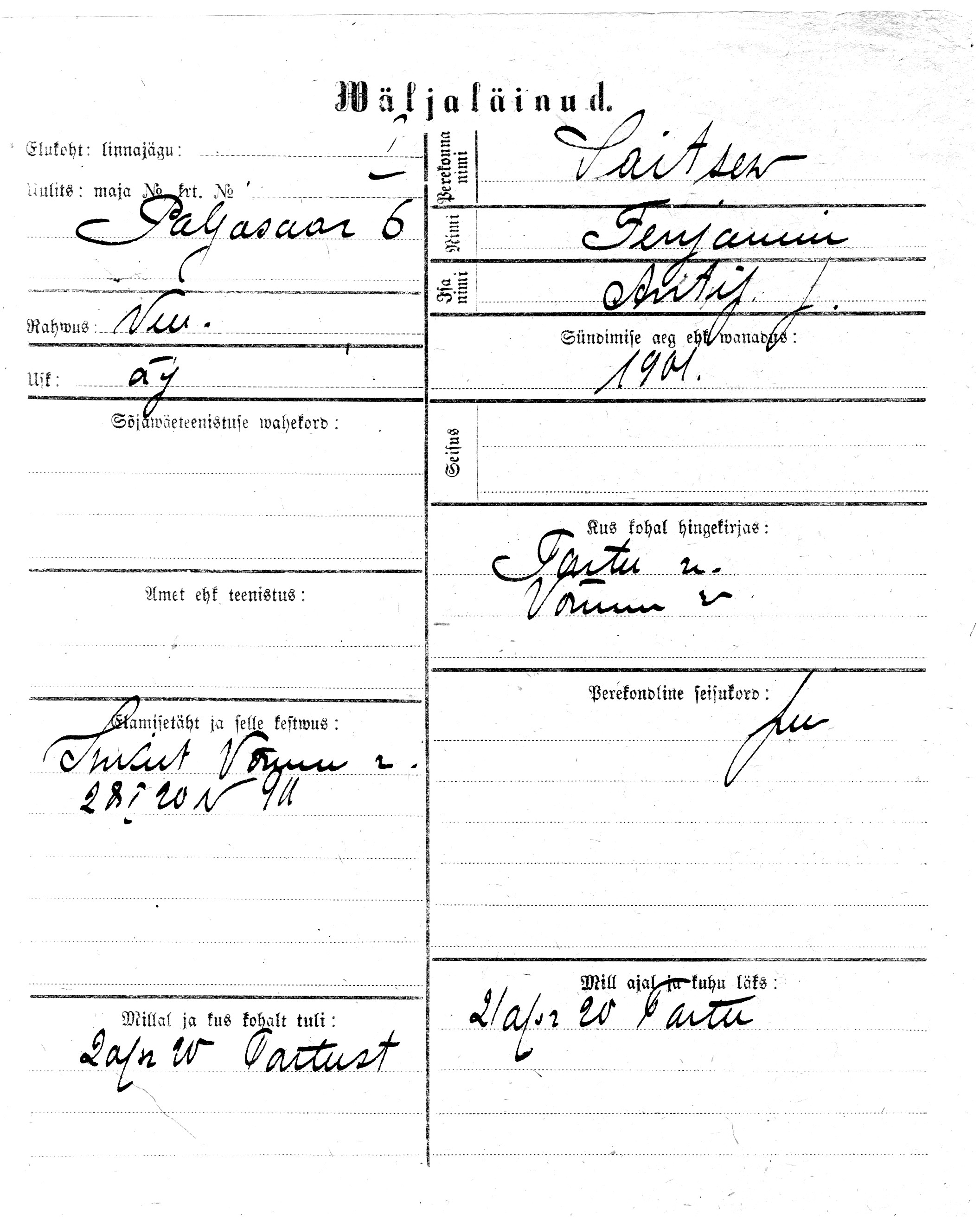 Saitsev, Fenjamin, Antif