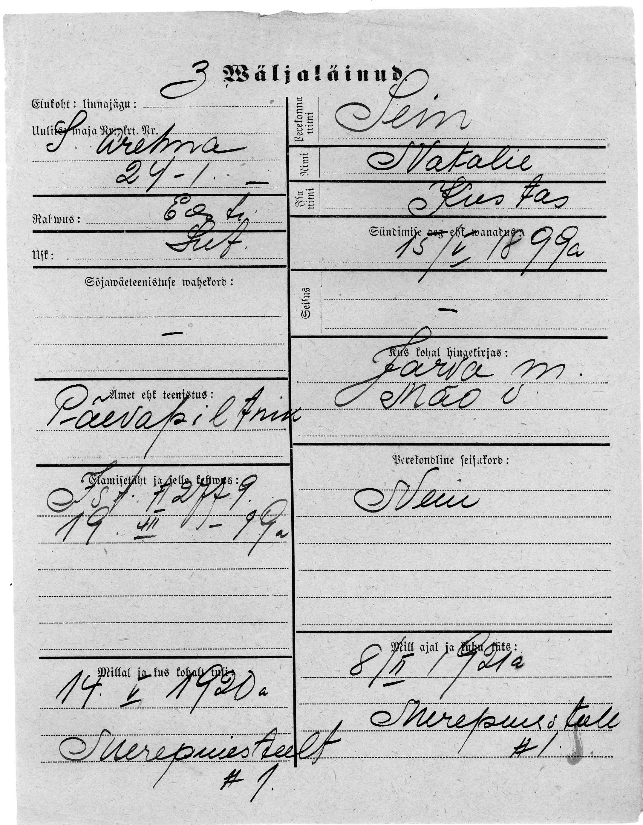 Sein, Natalie, Kustas