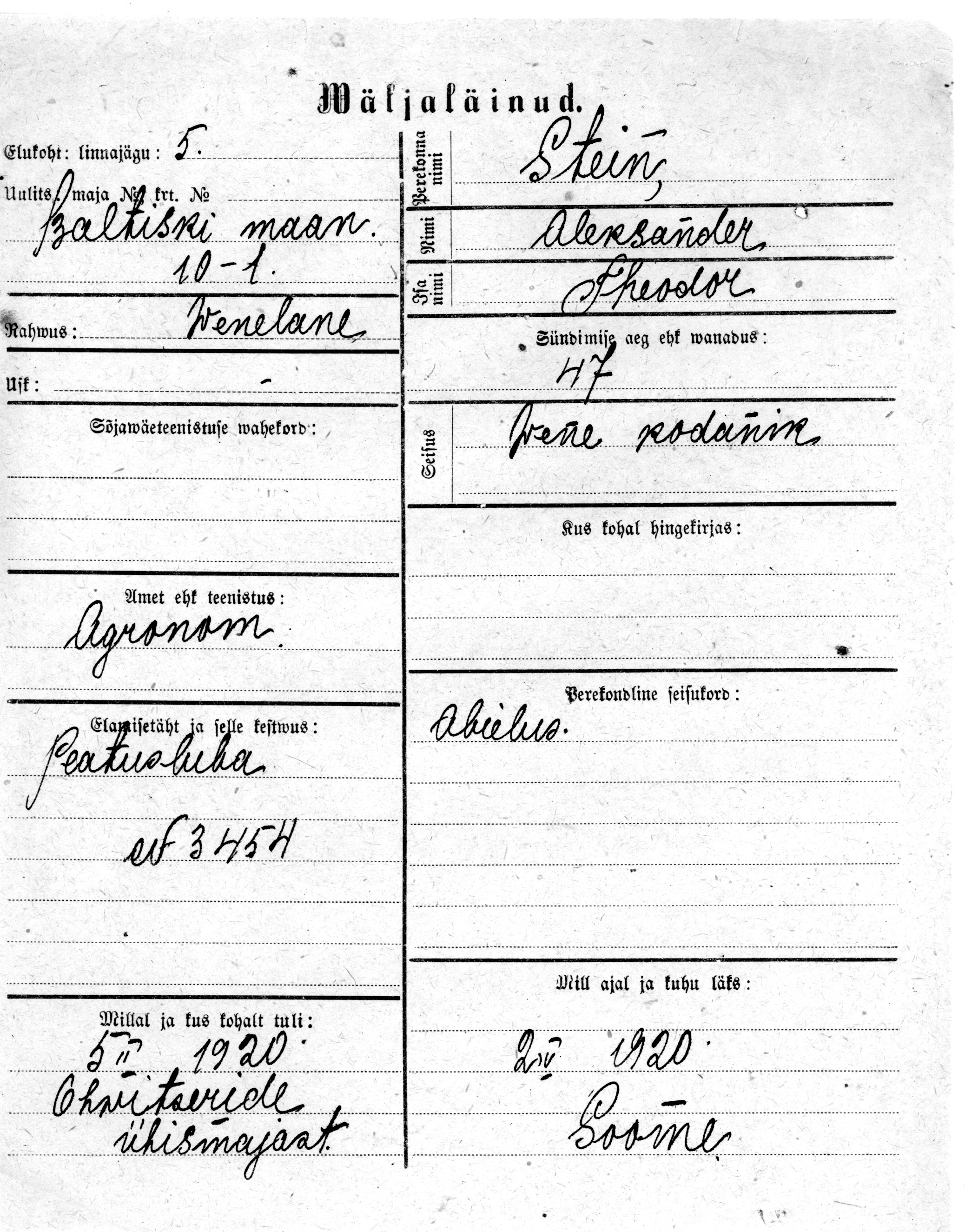 Stein, Aleksander, Theodor