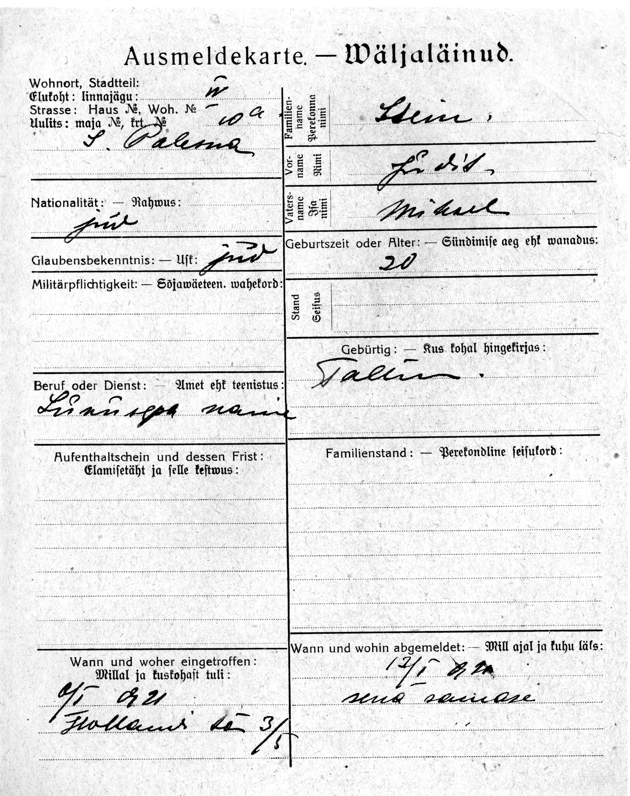 Stein, Judit, Mihkel