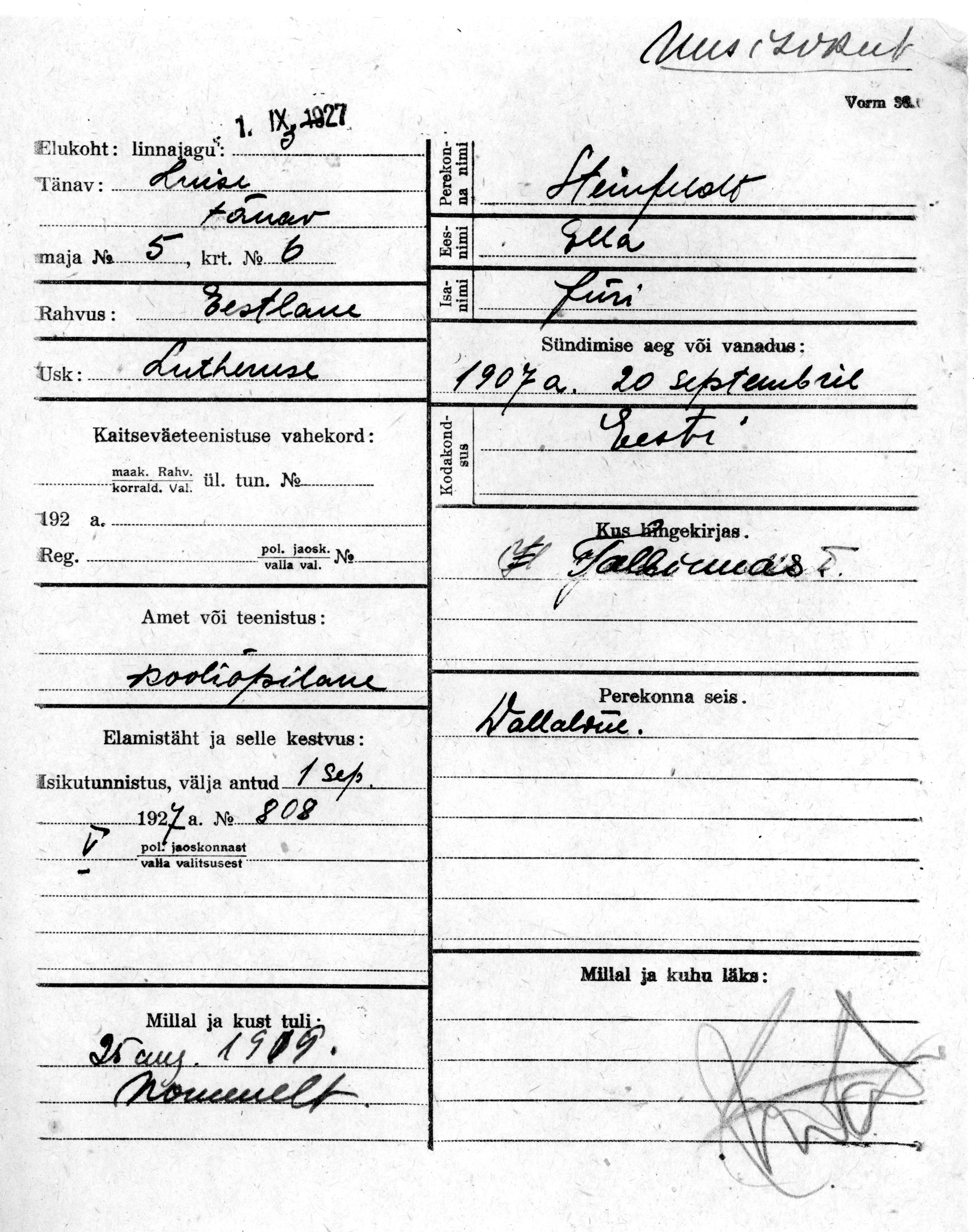 Steinfeldt, Ella, Jüri