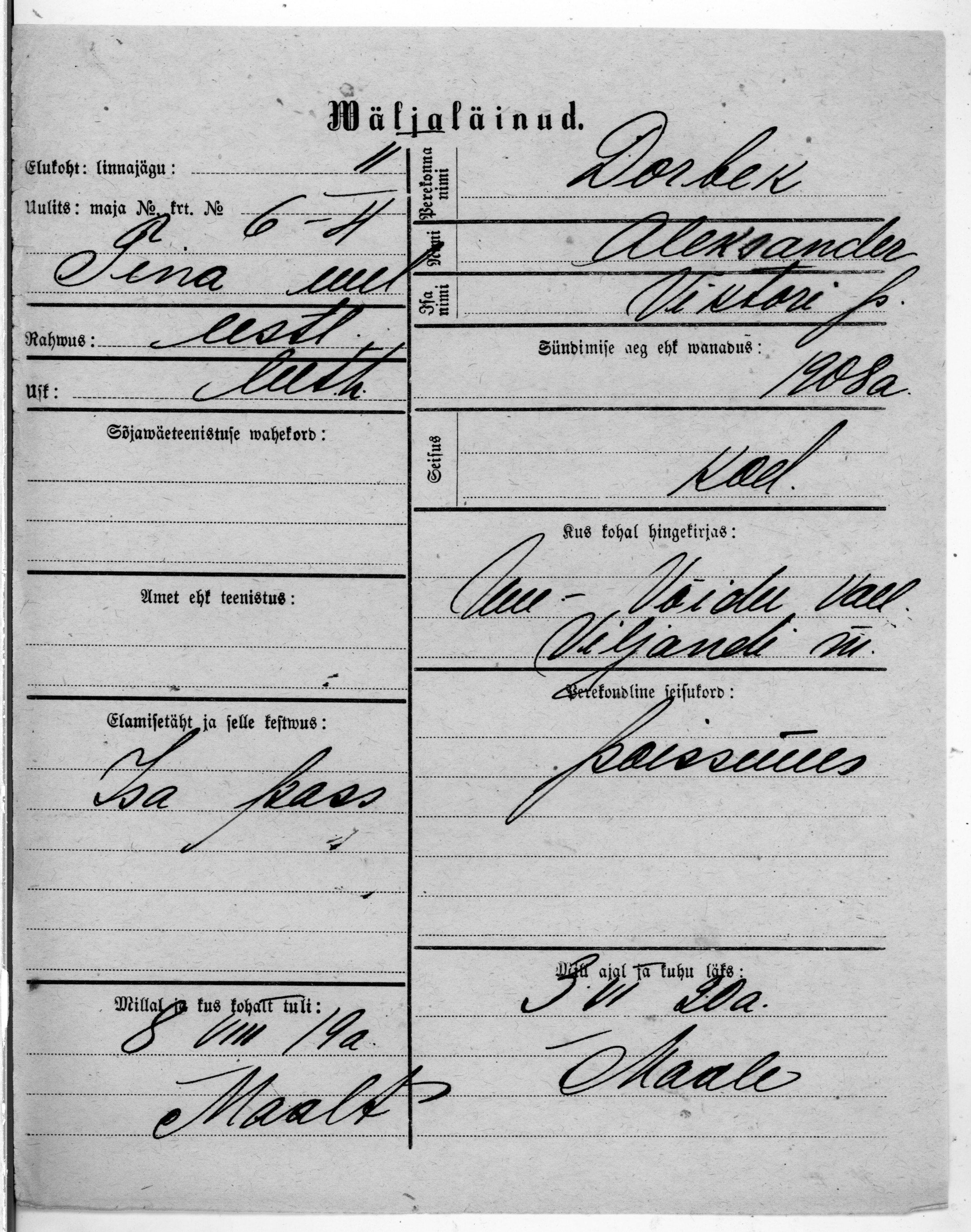 Dorbek, Aleksander, Viktor