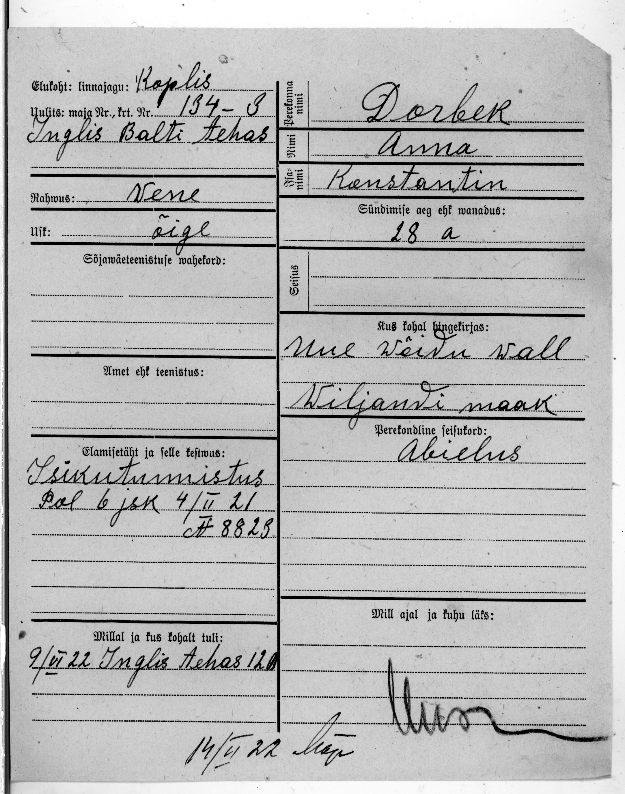 Dorbek, Anna, Konstantin