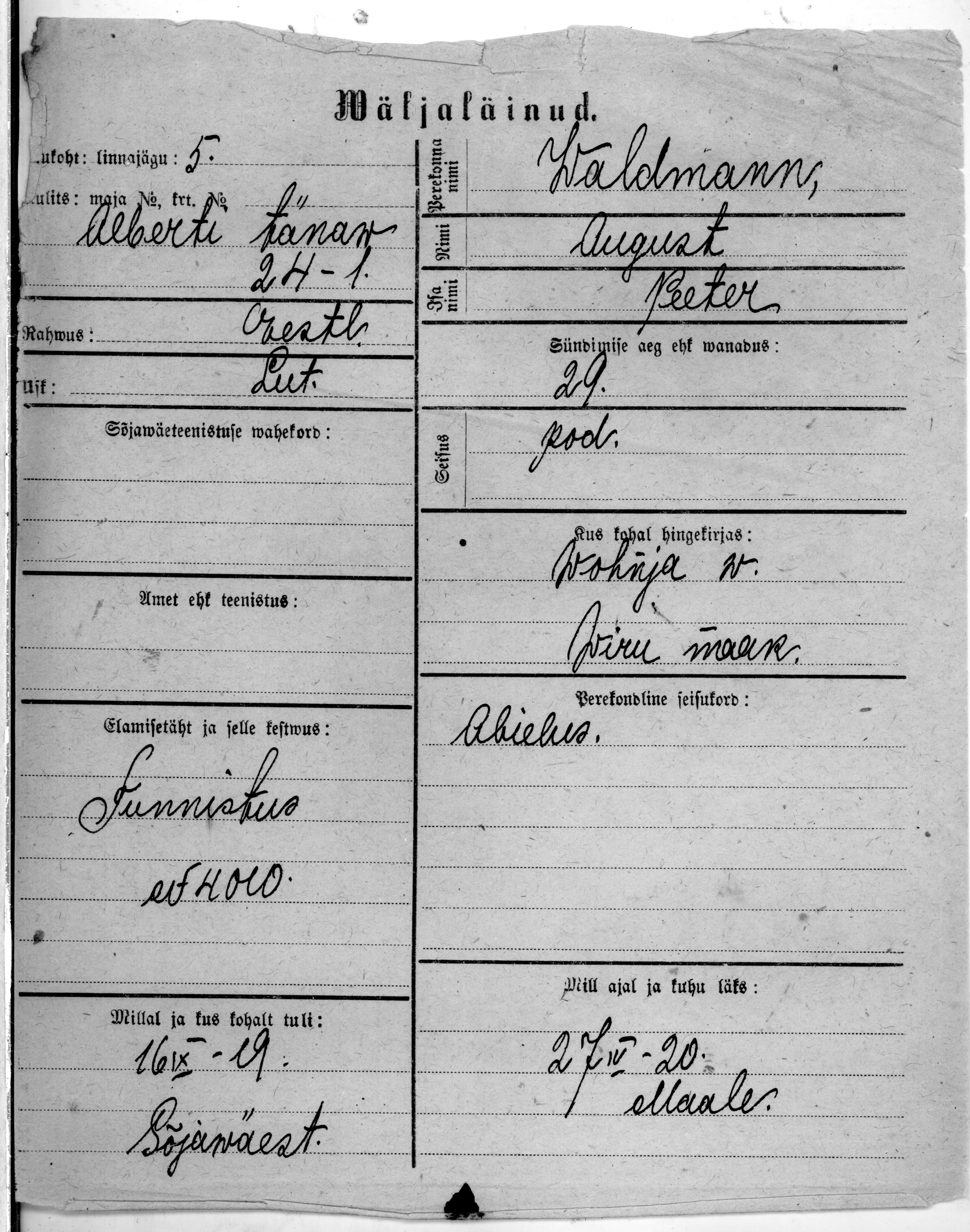 Waldmann, August, Peeter