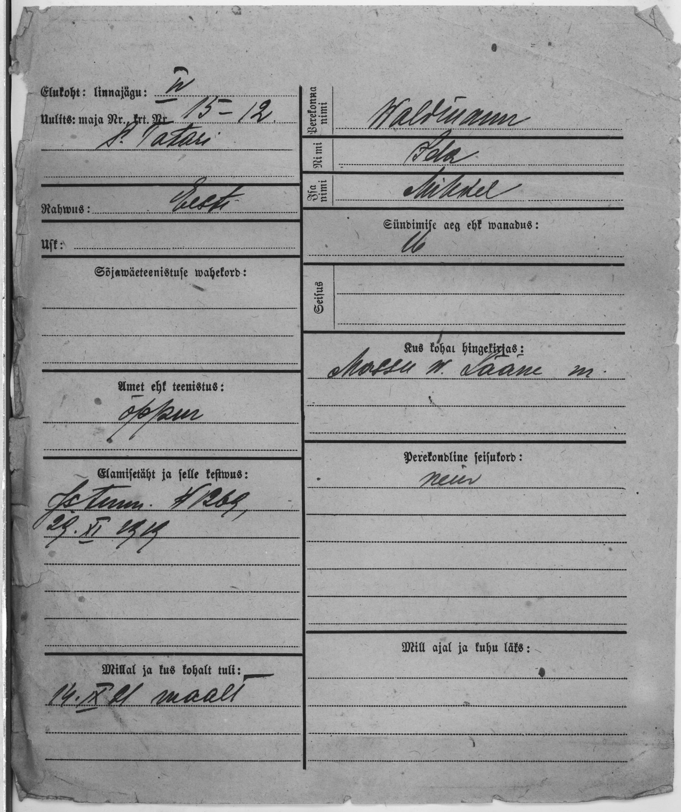 Waldmann, Ida, Mihkel