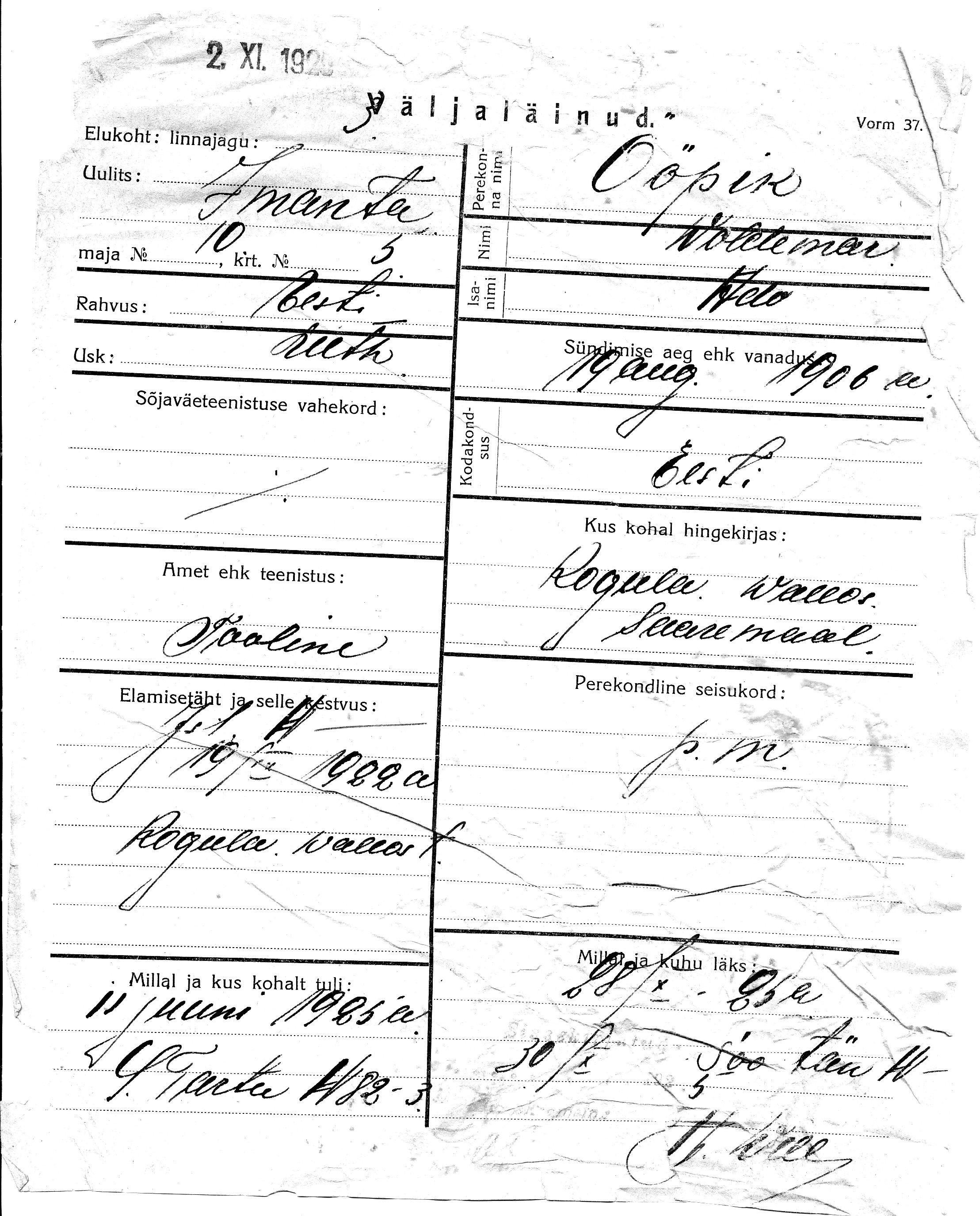 Ööpik, Woldemar, Ado