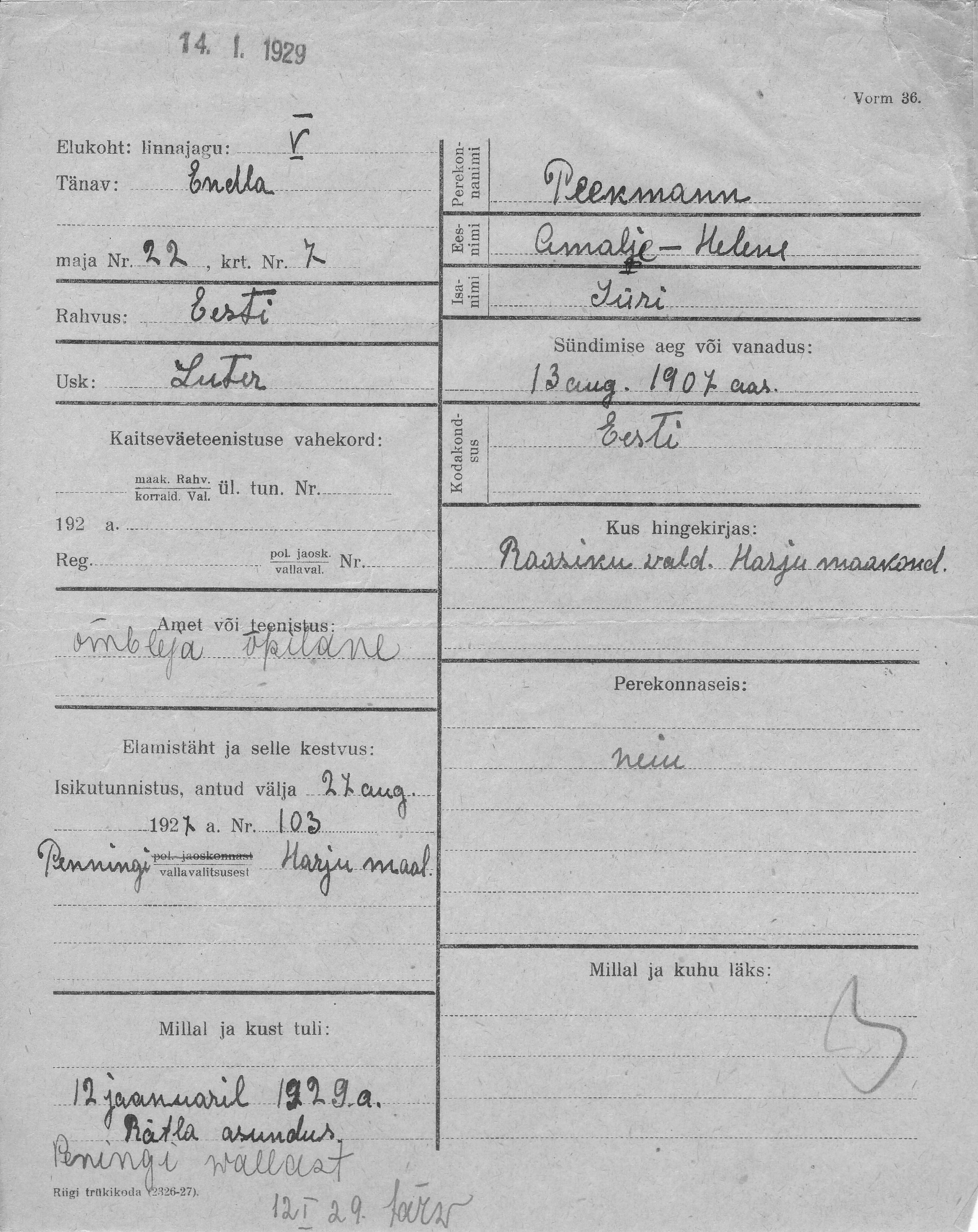 Peekmann, Amalie-Helene, Jüri