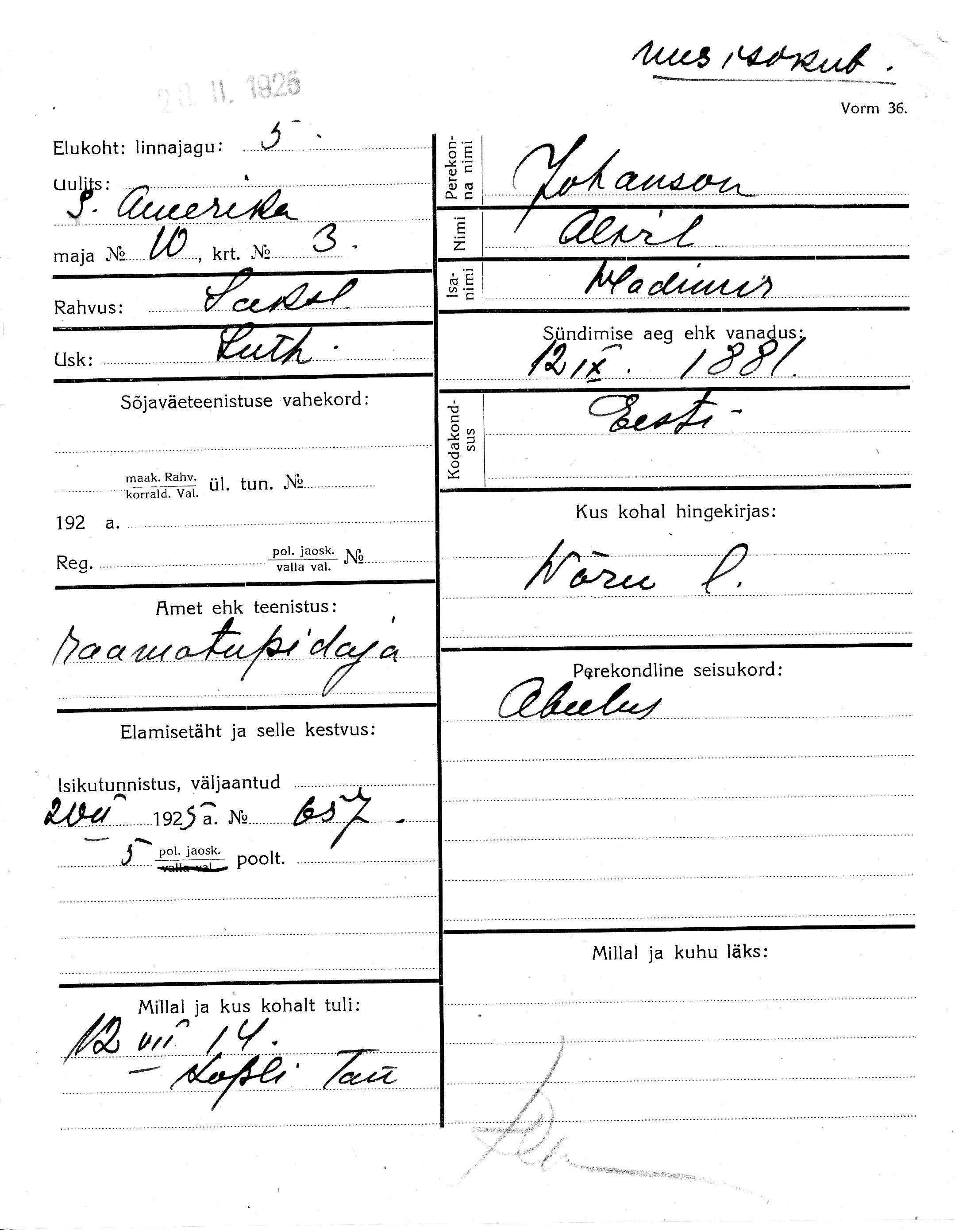 Johanson, Al__il, Wladimir