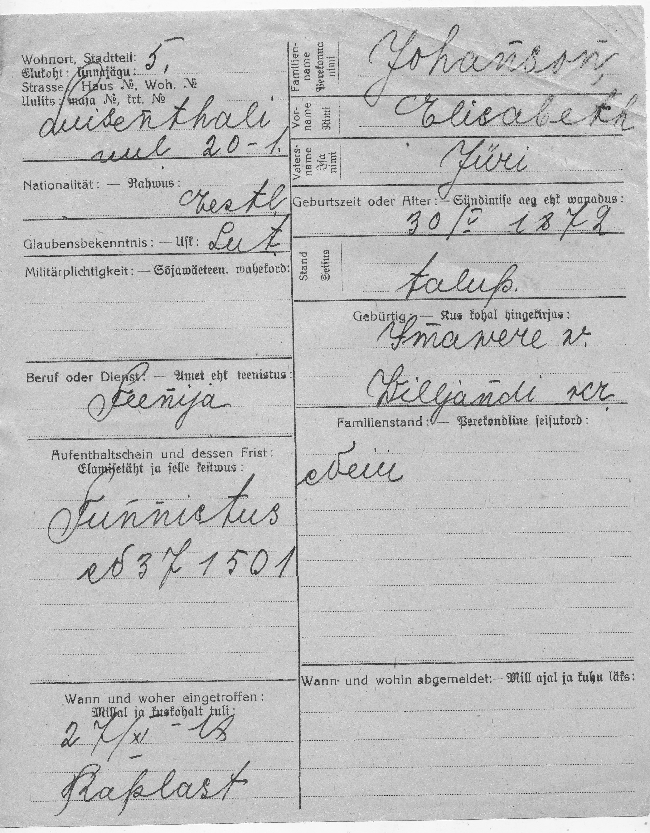 Johanson, Elisabeth, Jüri