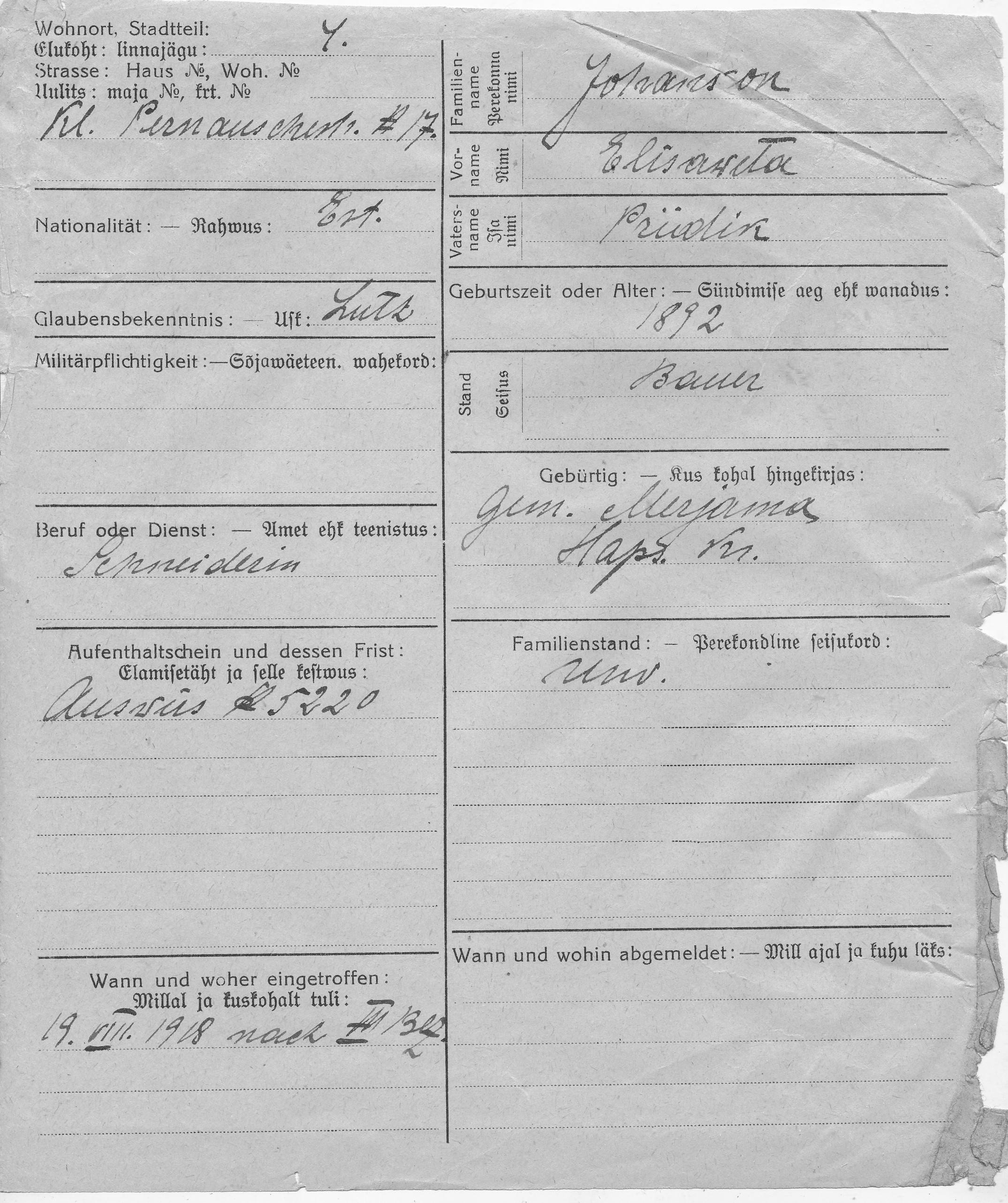 Johanson, Elisaweta, Priidik