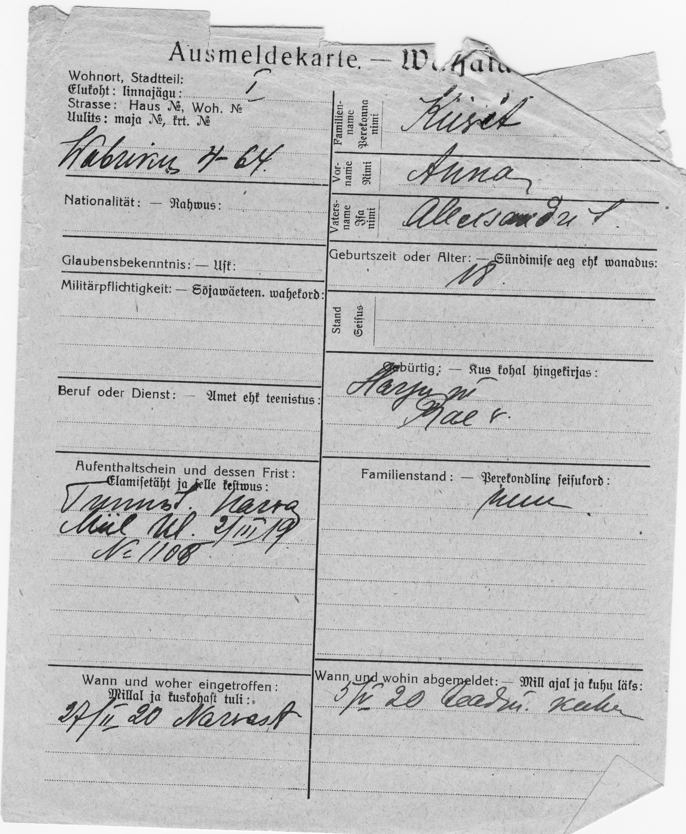 Kiivit, Anna, Aleksander