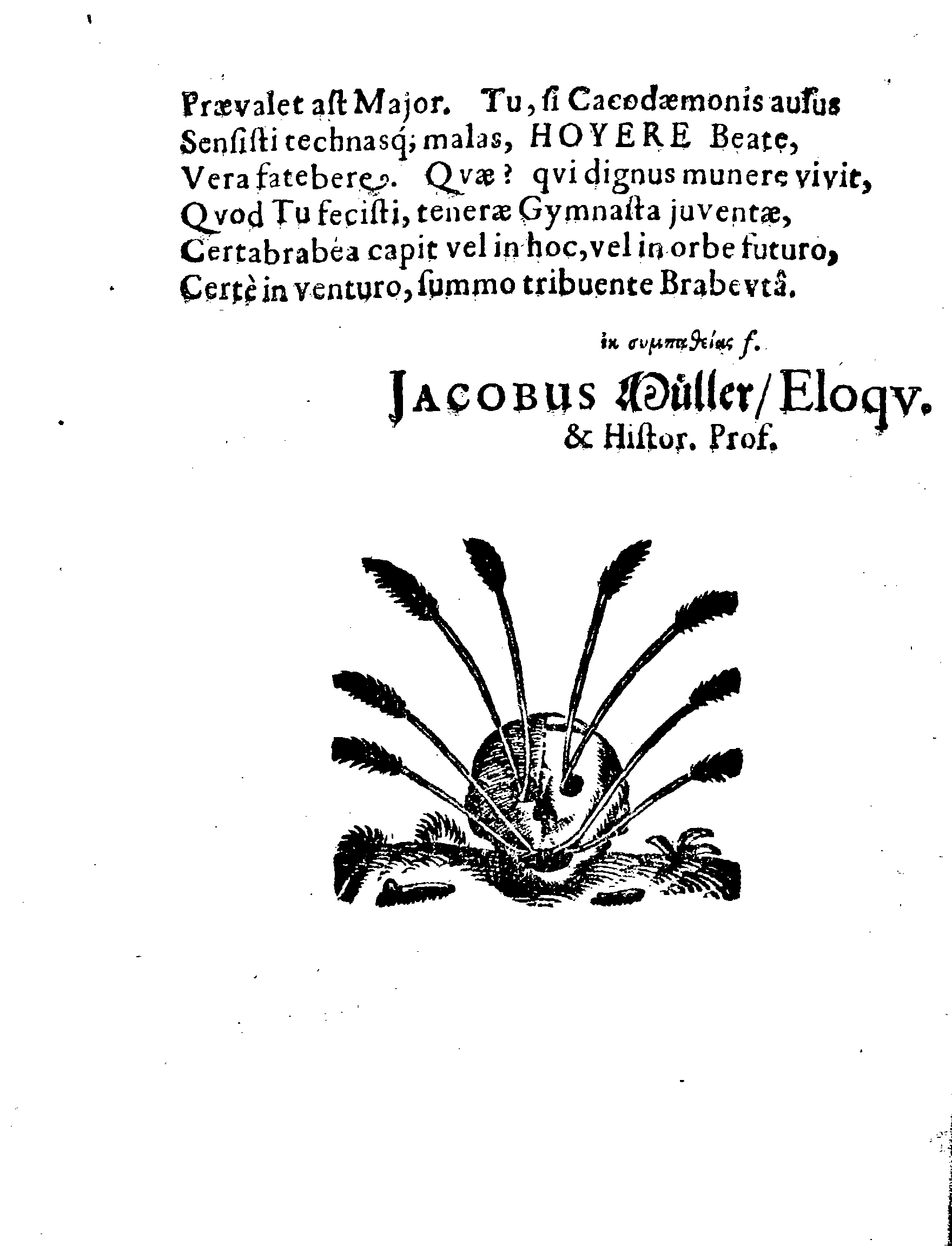 HONOR NOVISSIMUS, Qvo Praestantissimum, Literatissimumque Virum Dn. GEORGIUM HOJERUM, Scholae Regiae Acropolitanae apud Revalienses Con-Rectorem dignissimum, atq; dum vixit, fidelissimum, Cum Anno 1652. 5.d. Mart. in Templo Cathedrali terra mandaretur, Affecit GYMNASIUM REVALIENSE