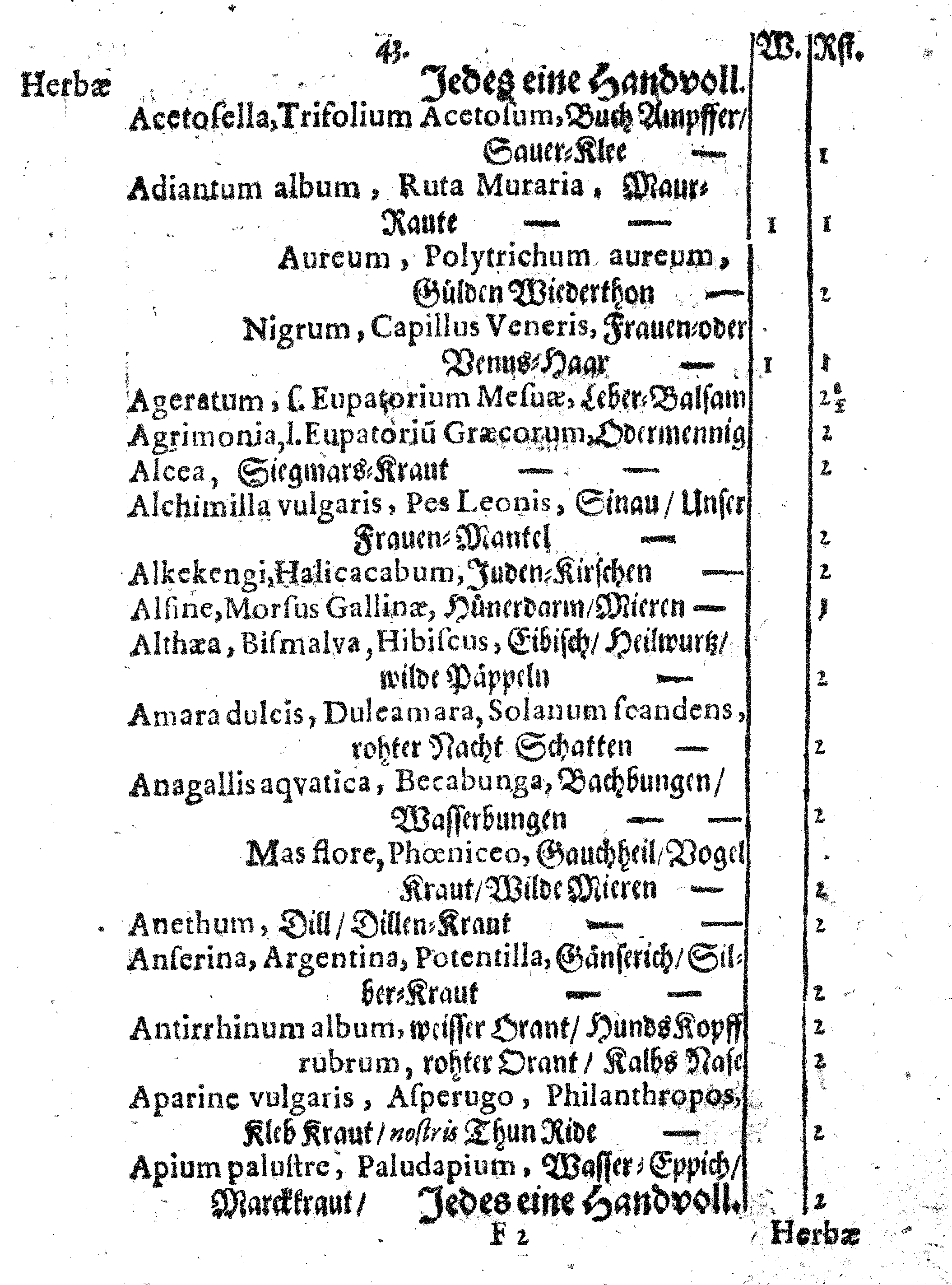 E. E. Raths Der Königl. Stadt Reval Eingeführte Apotheker-Ordnung und TAXA