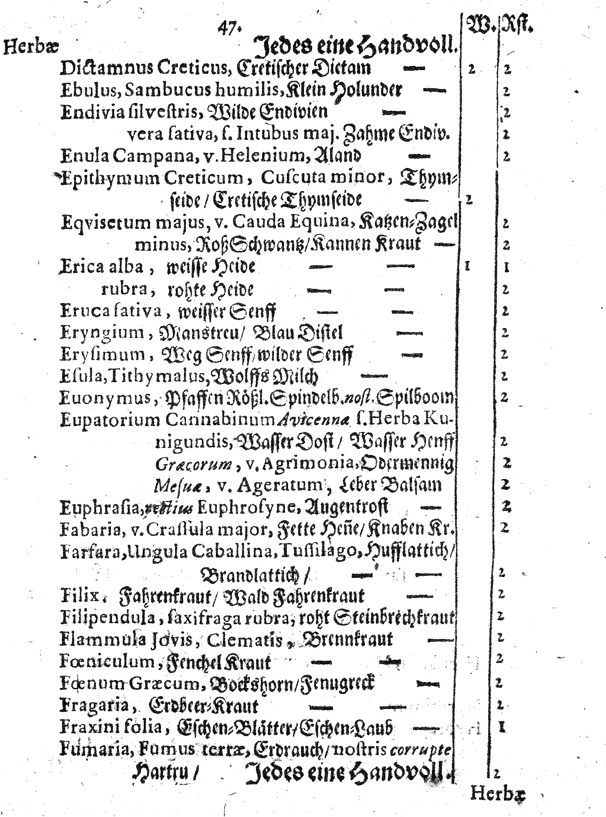 E. E. Raths Der Königl. Stadt Reval Eingeführte Apotheker-Ordnung und TAXA