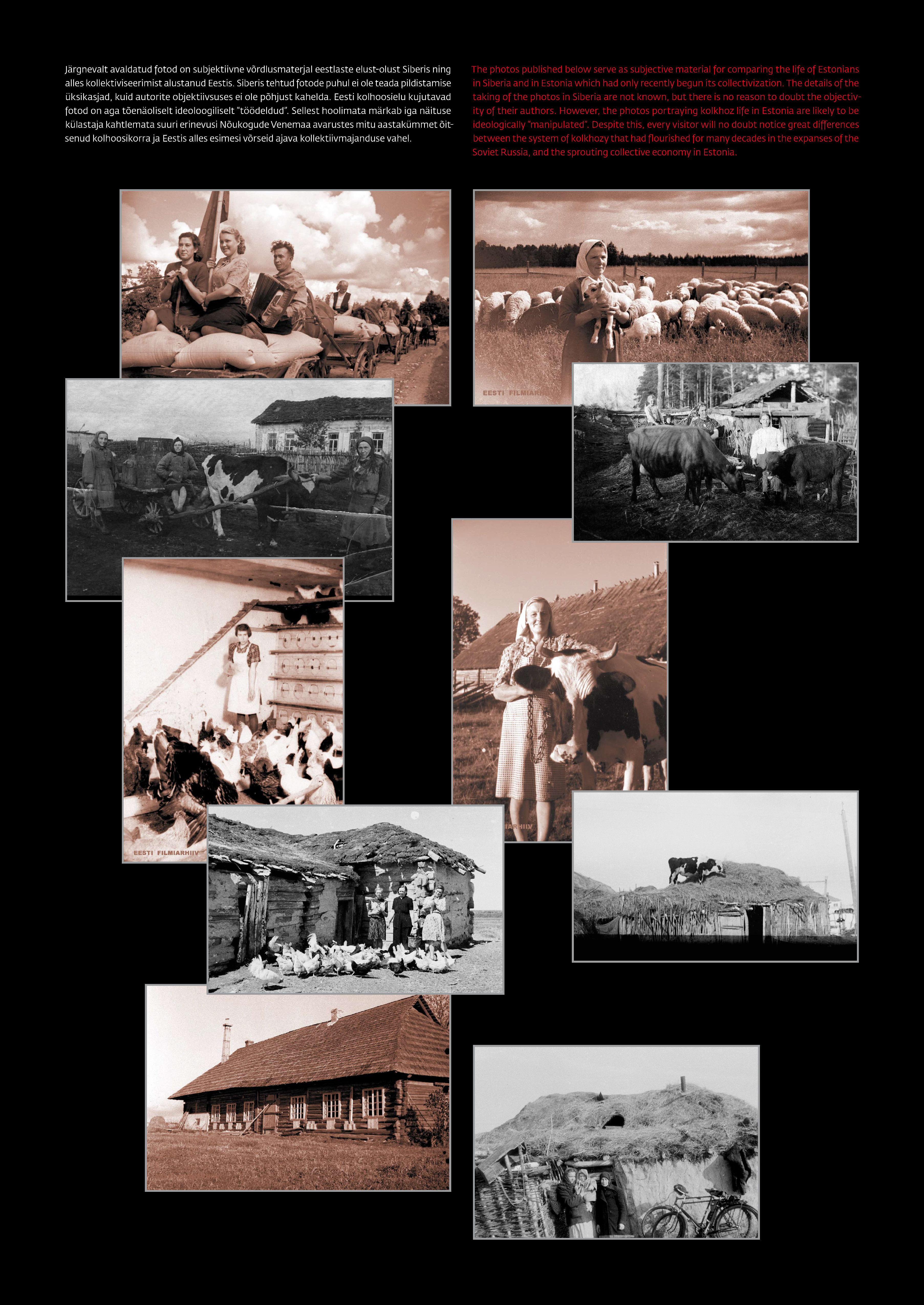 Siberis ja Eestis tehtud fotod. Talurahvas, lambad, veised, kanad, elamud.