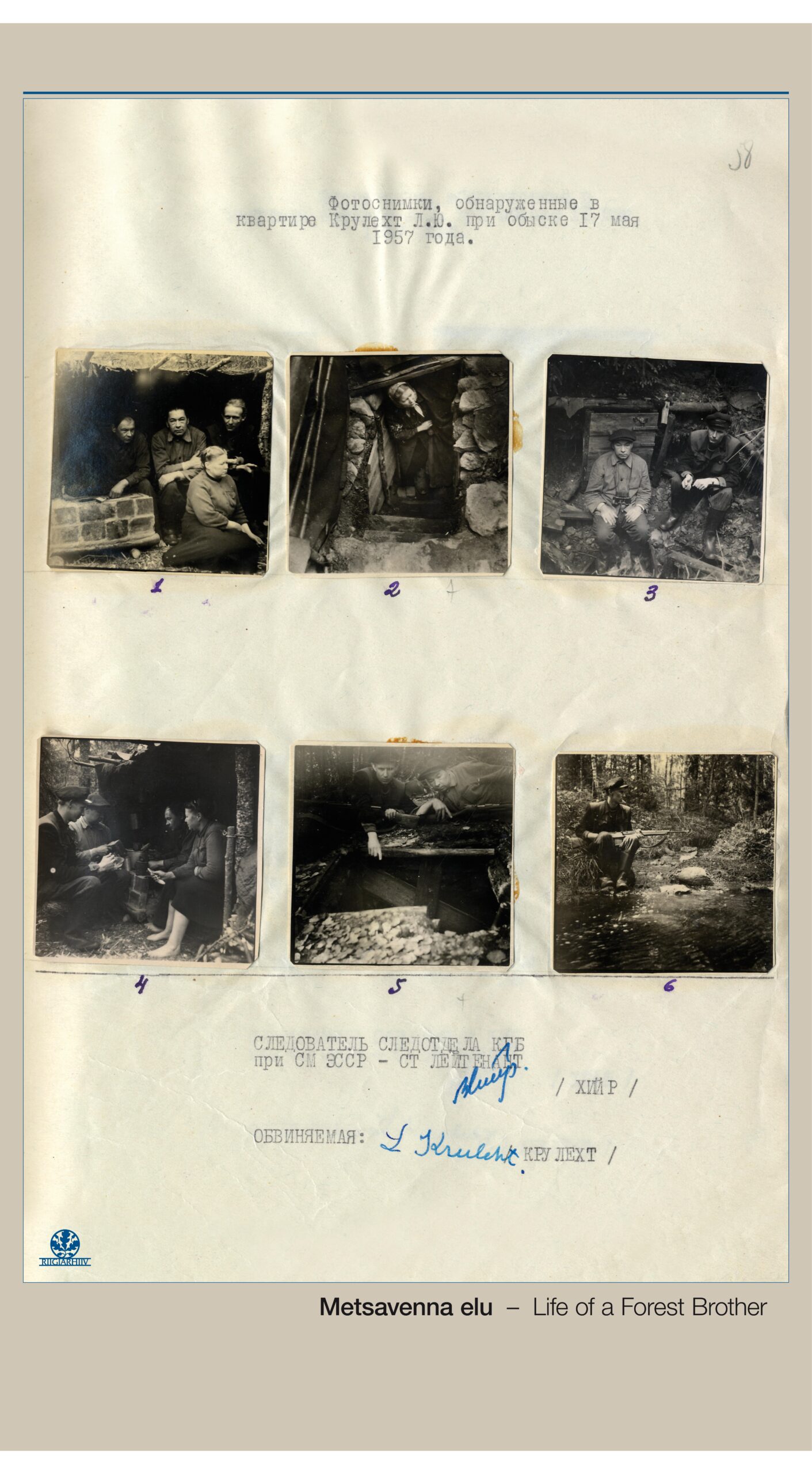 Kuus pilti metsavendadest.